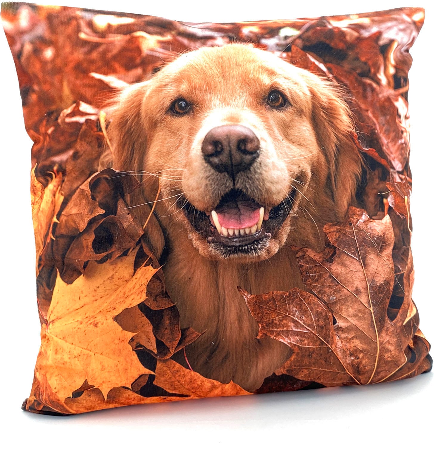 Weckbrodt Kissenhülle "Golden Retriever" günstig online kaufen