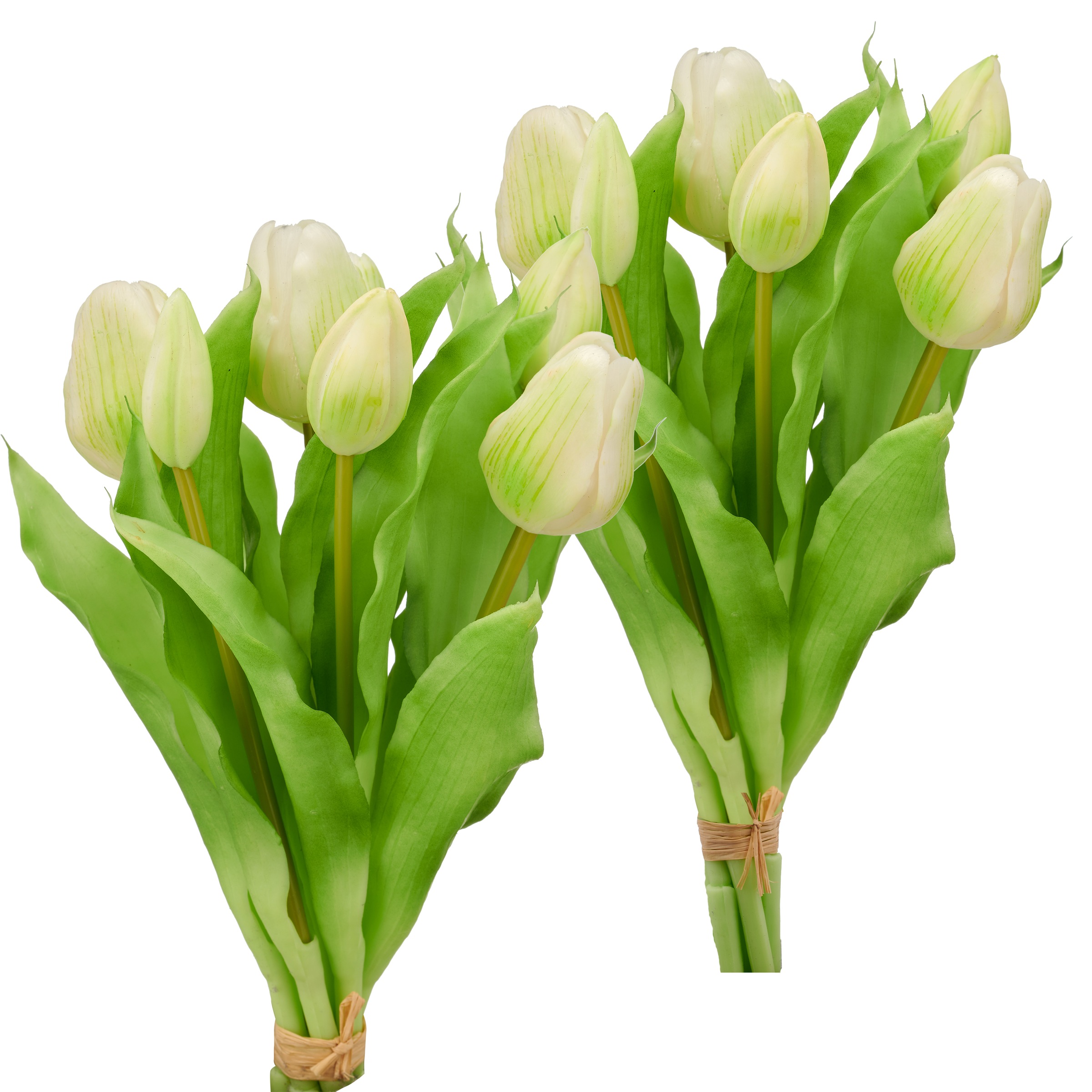 Creativ green "Tulpenbund" in schöner Farbe