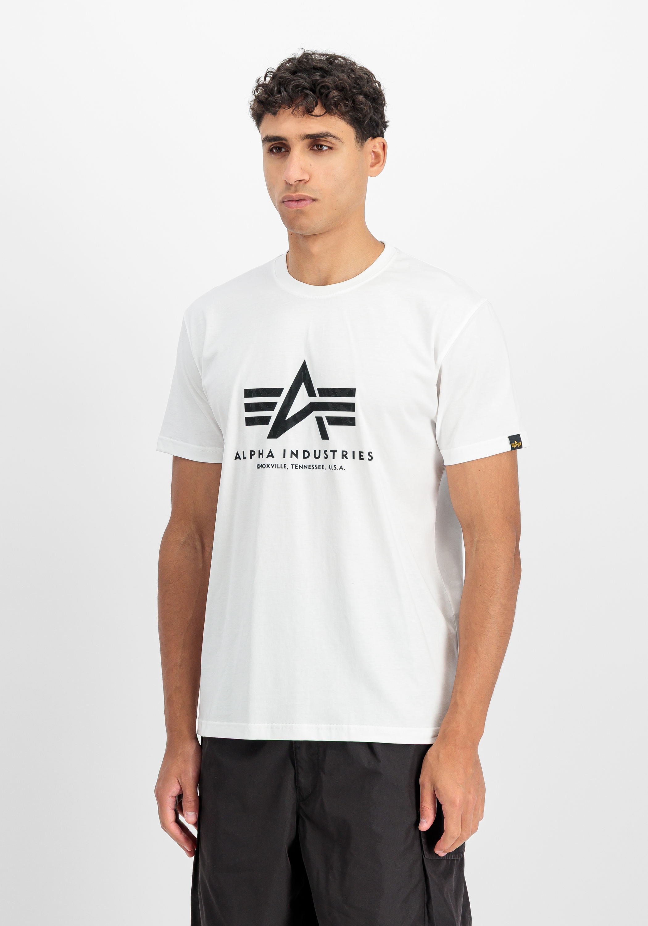 Alpha Industries T-Shirt "Basic T-Shirt BL Ripstop" günstig online kaufen