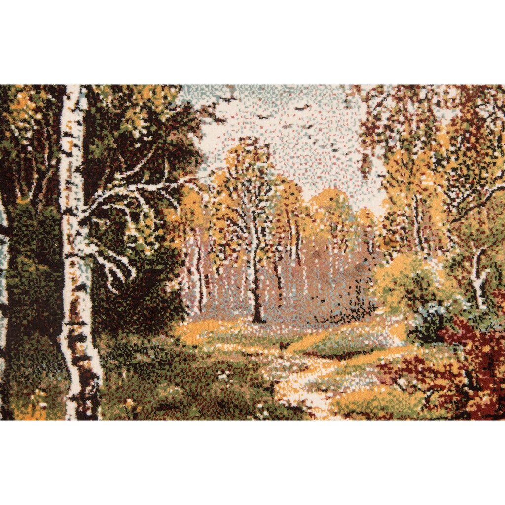 morgenland Wandteppich »Bild-Teppich Figurativ 110 x 82 cm«, rechteckig, besonders weich durch Microfaser