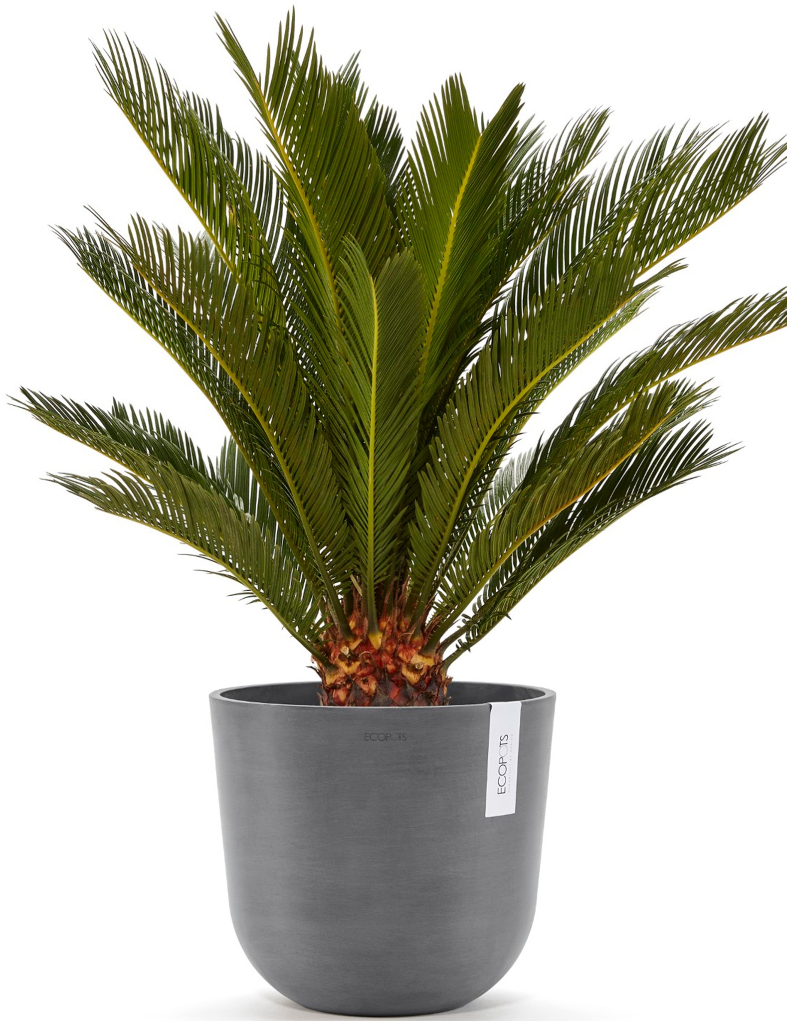 ECOPOTS Blumentopf »Oslo 25 + Wassersystem Grau«, für innen und außen: frostsicher, bruchsicher und lichtbeständig