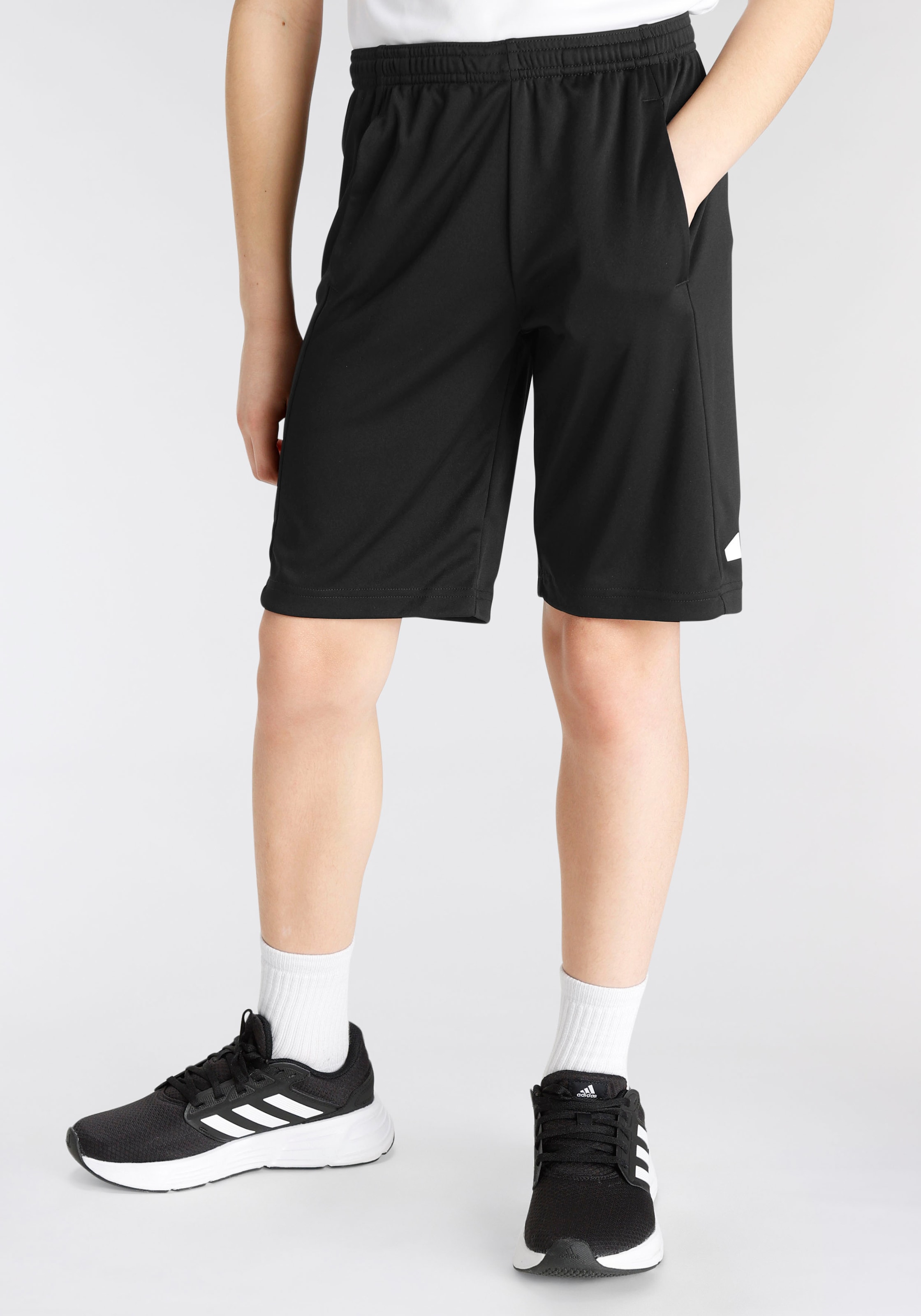 adidas Sportswear Shorts "TRAIN ESSENTIALS AEROREADY LOGO REGULAR-FIT", (1 tlg.)
