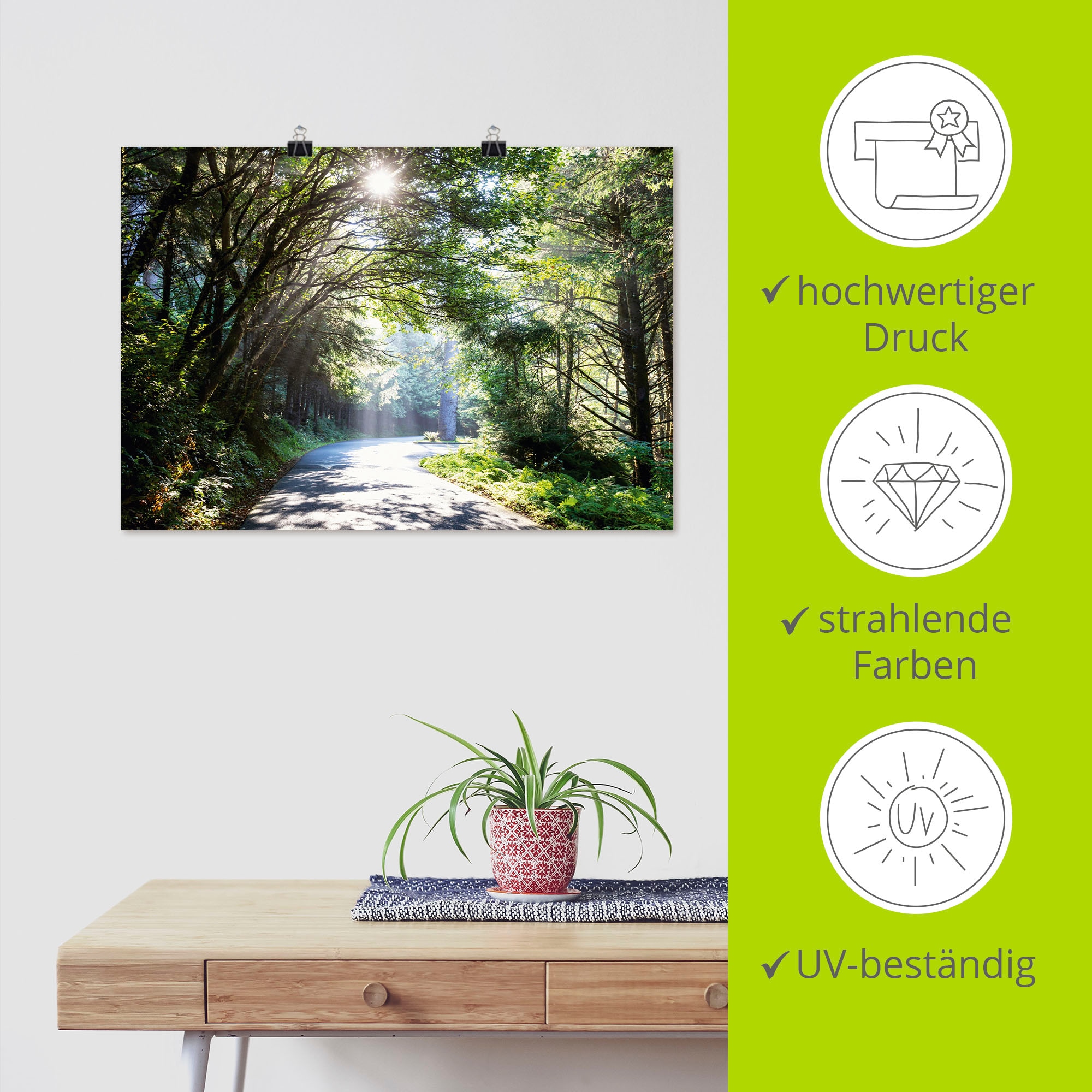 Artland Wandbild »Sonniger Wald« Baumbilder 1 Stk. tlg. als Alubild, Outdoorbild, Leinwandbild, Poster in verschied. Größen