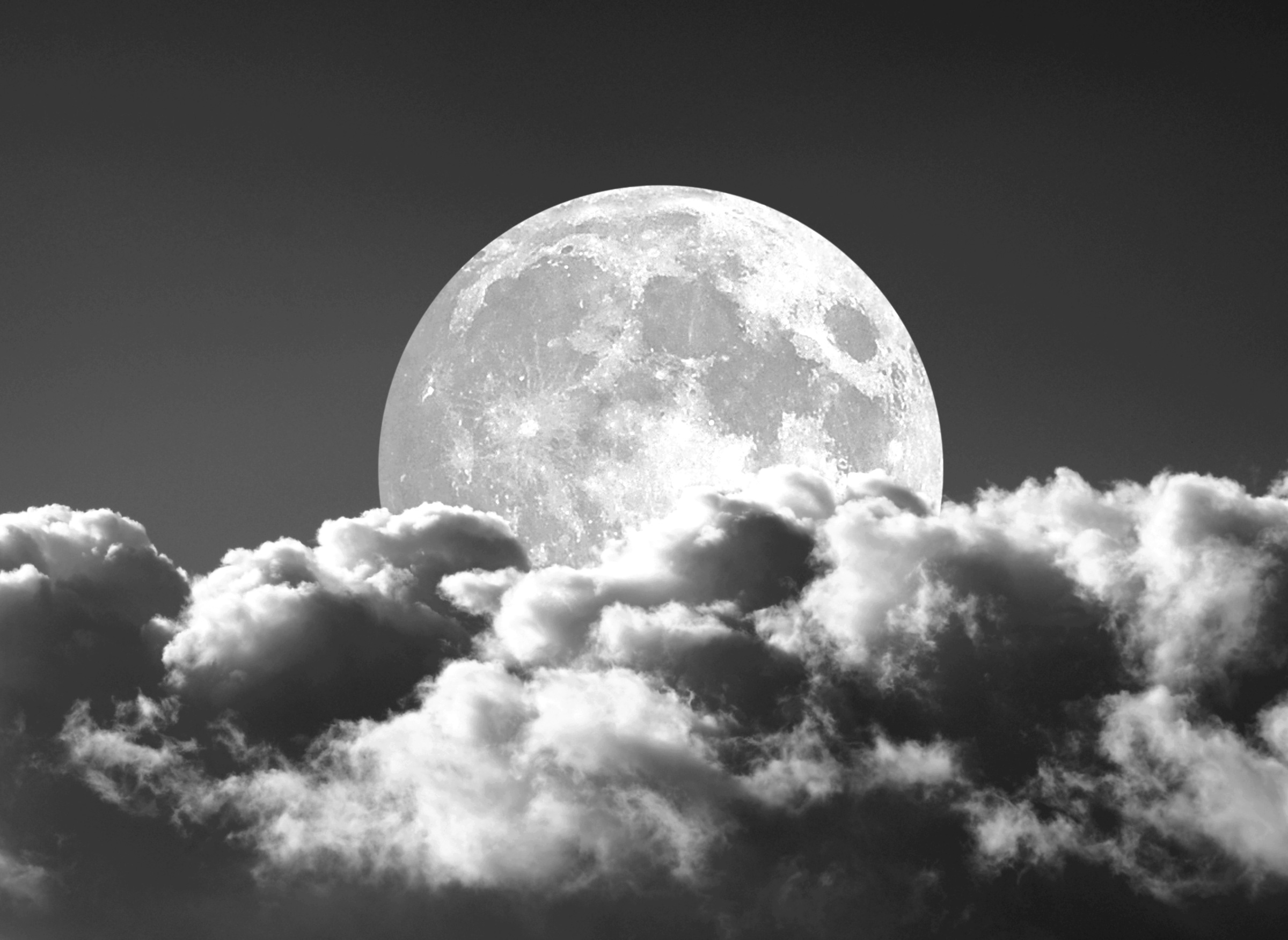 Papermoon Fototapete »Mond Schwarz & Weiß«