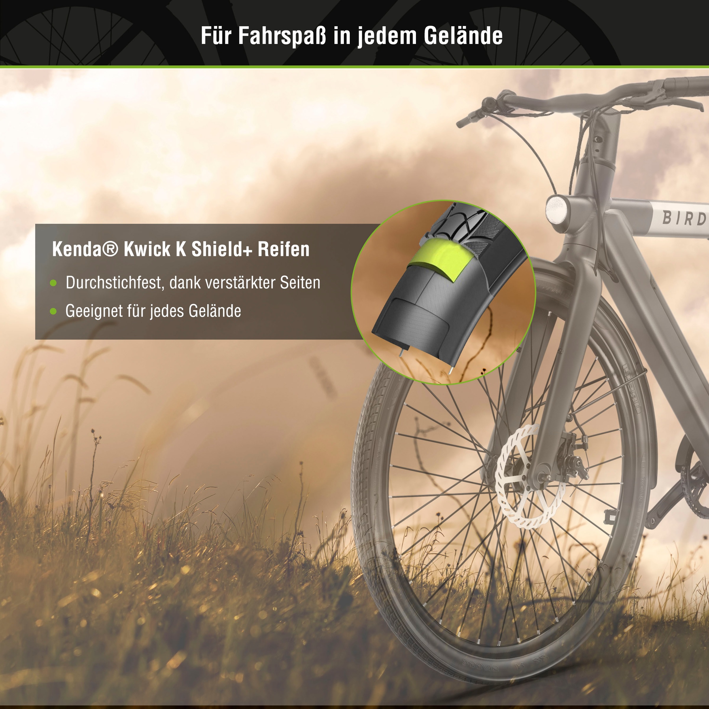 SachsenRad »C6R« 1 Gang ohne Schaltung Heckmotor 250 W