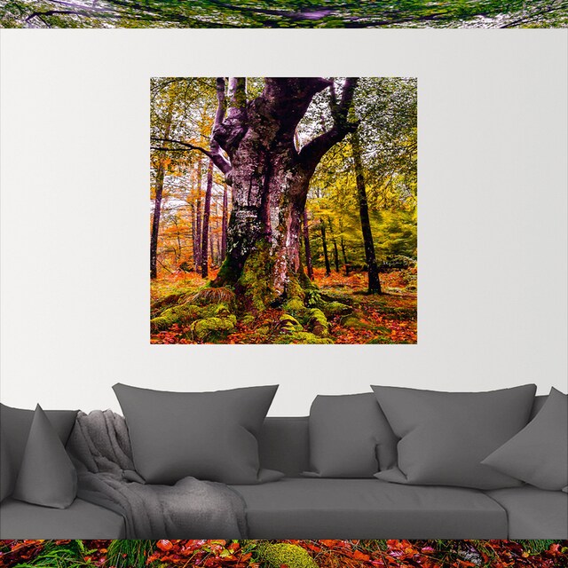 Artland Wandbild »Baum im Wald«, Baumbilder, (1 St.), als Alubild,  Leinwandbild, Wandaufkleber oder Poster in versch. Größen bestellen | BAUR