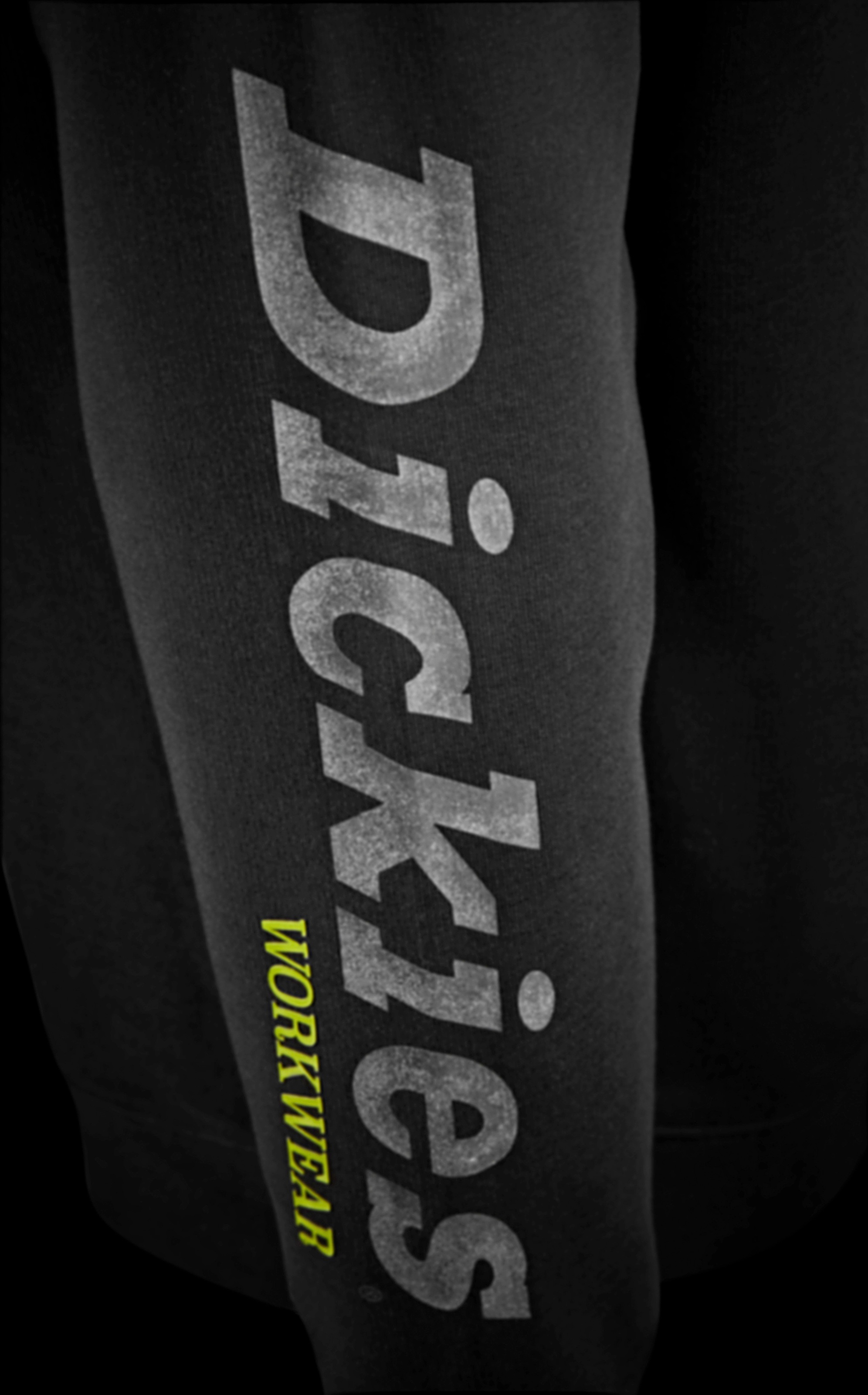 Dickies Sweatshirt »Okemo-Graphic«