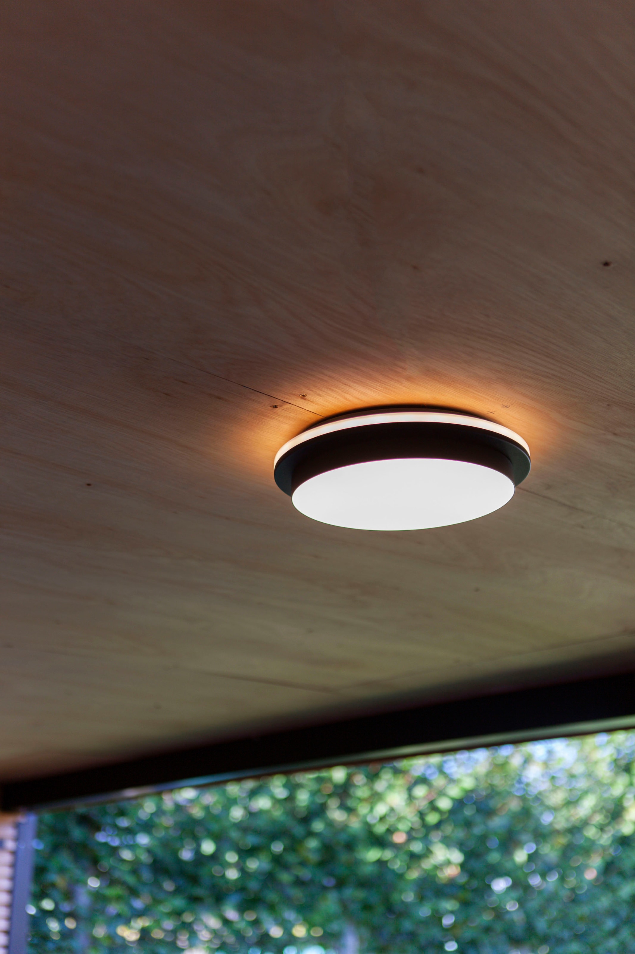 LUTEC LED Außen-Deckenleuchte »GOLETA«, Leuchtmittel LED-Modul | LED fest integriert