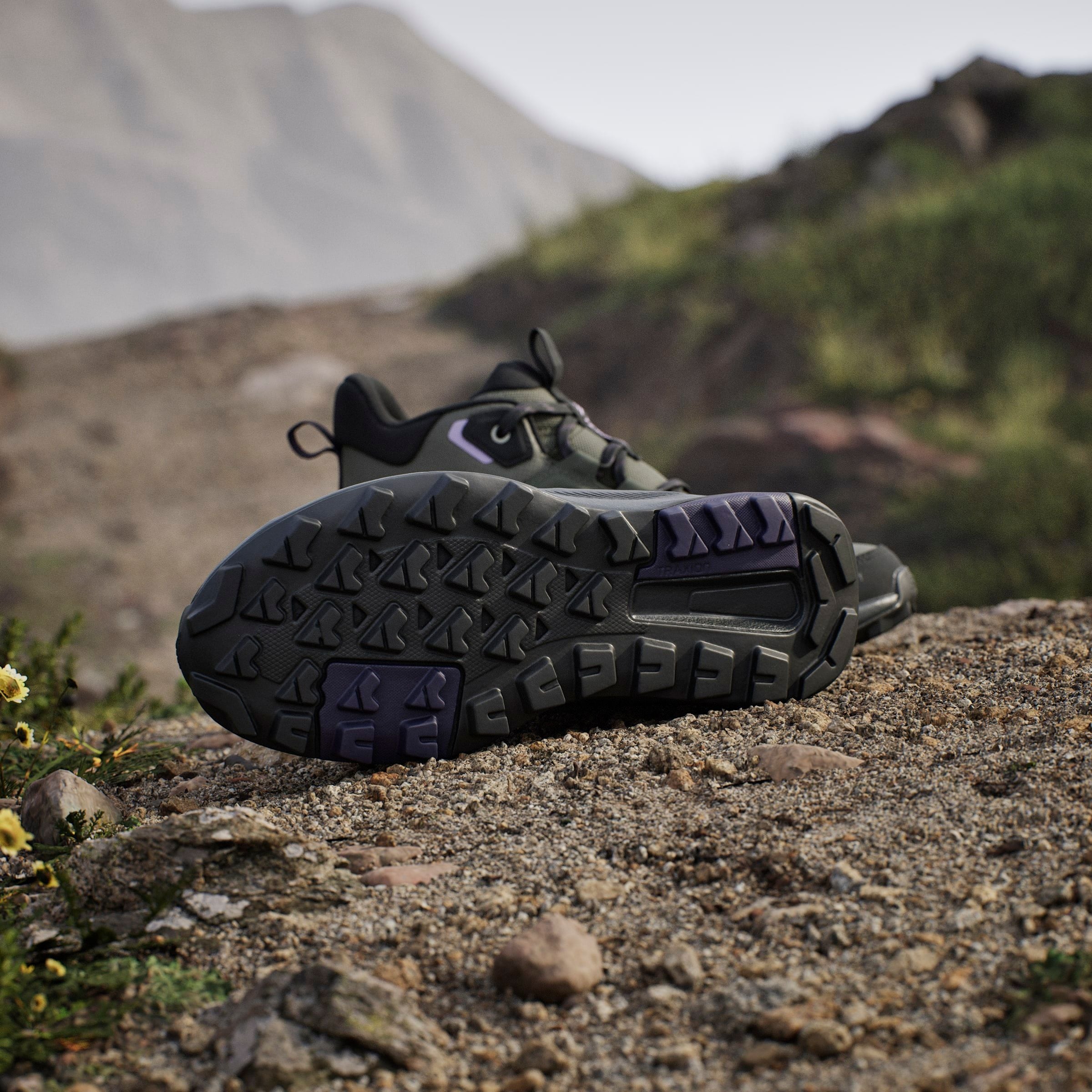 adidas TERREX Wanderschuh »TERREX ANYLANDER MID RAIN.RDY«, wasserdicht