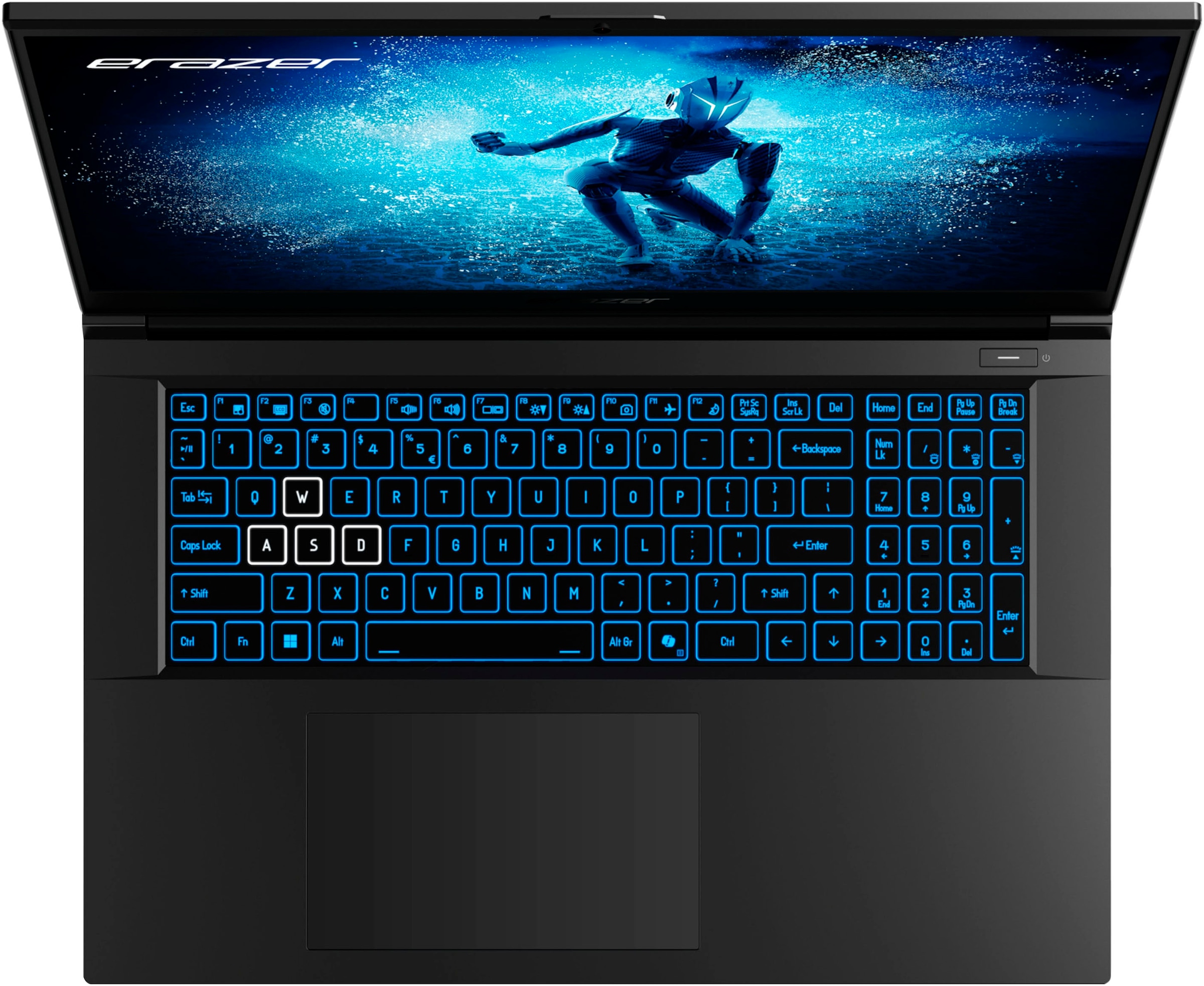 Medion® Gaming-Notebook »ERAZER Defender P50i (MD62678)«, 43,9 cm, / 17,3 Zoll, Intel, Core i7, GeForce RTX 4060, 1000 GB SSD