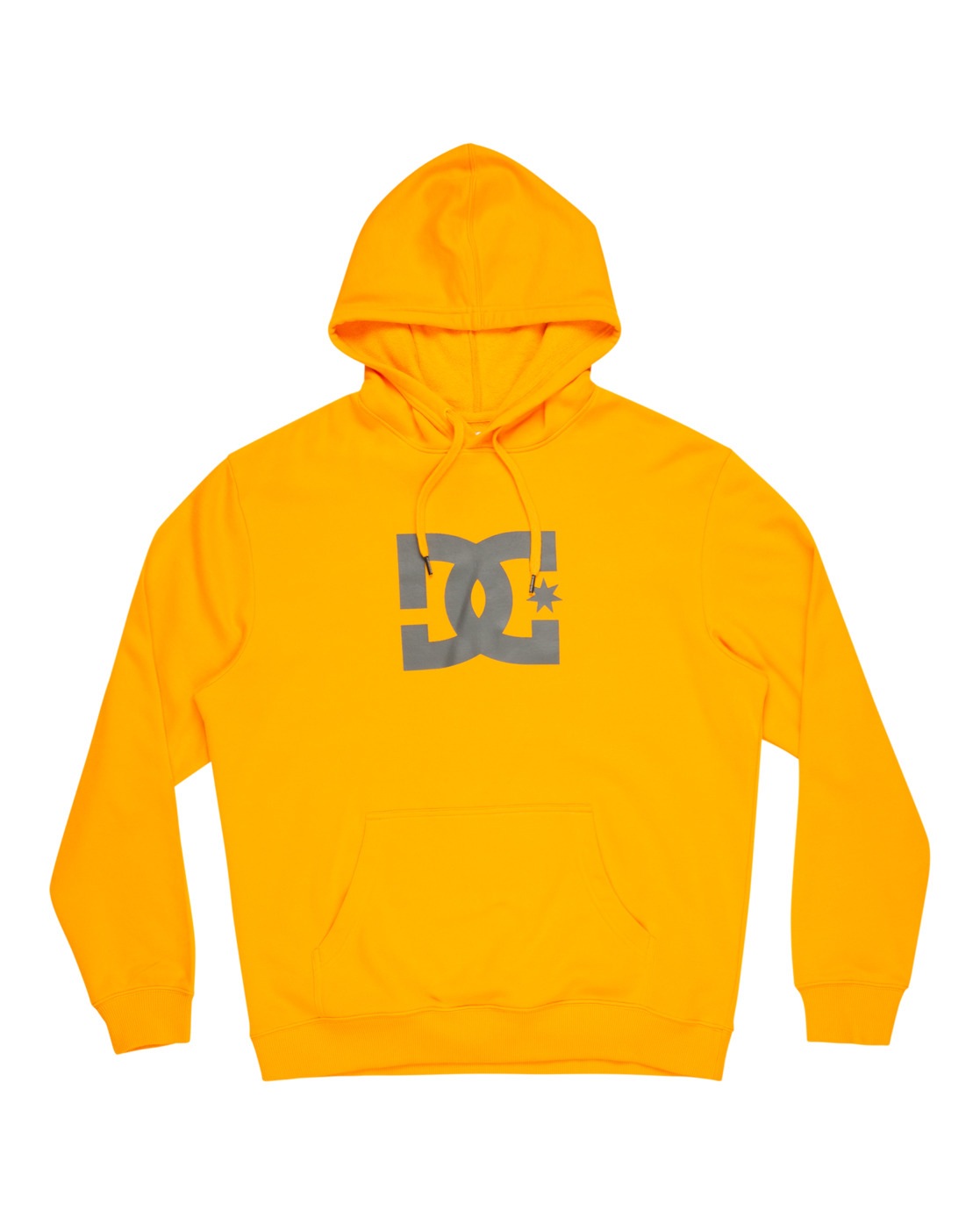 DC Shoes Kapuzensweatshirt »DC Star«