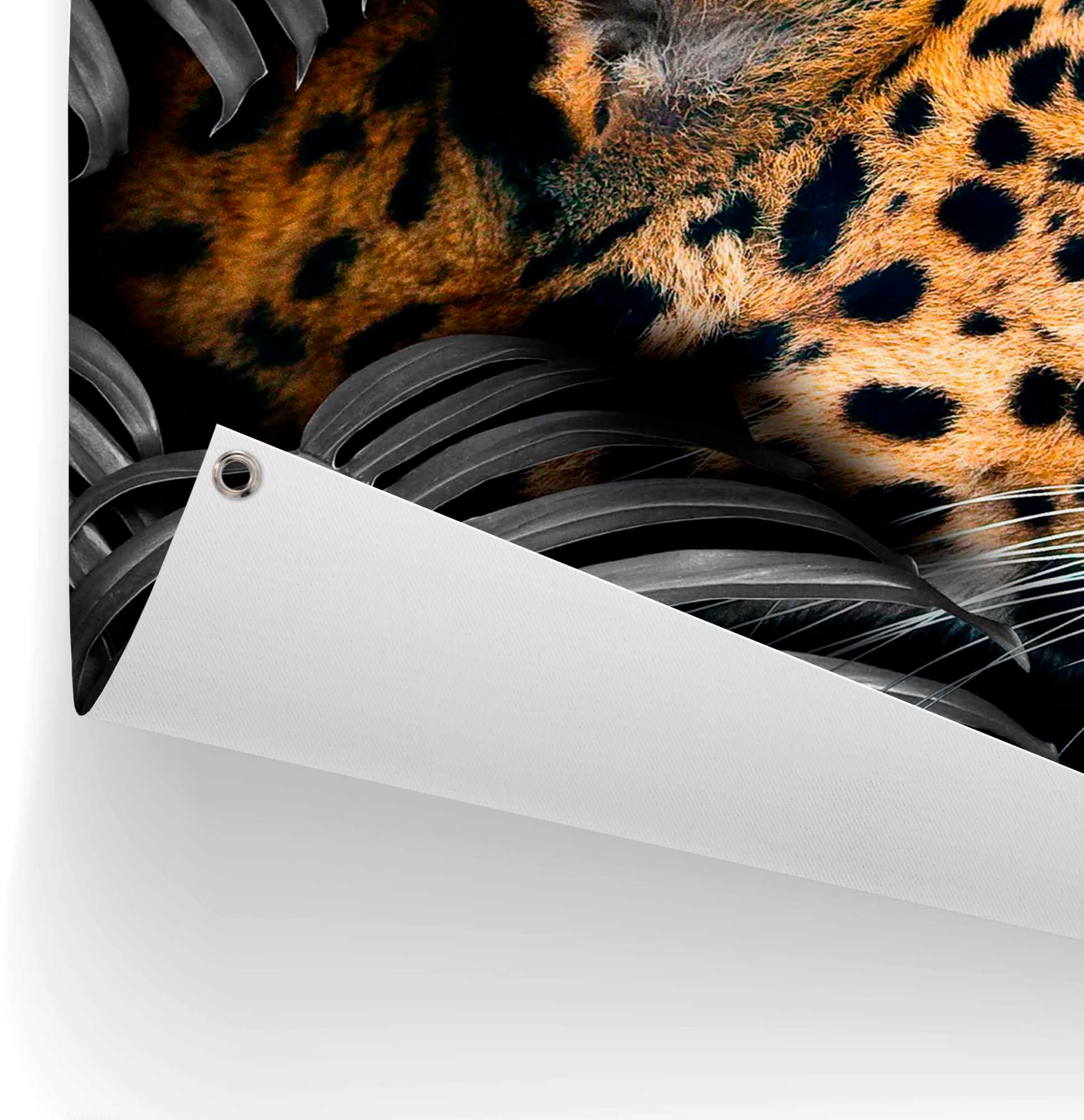 Thumbnail - Reinders Poster "Leopard"