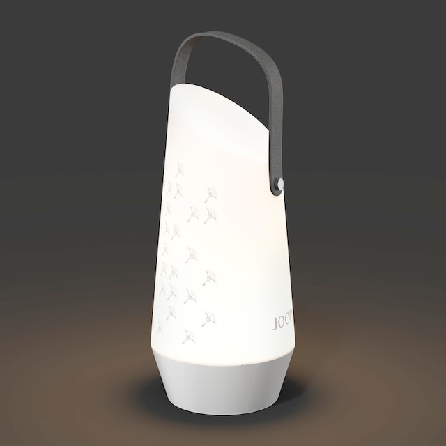 Joop! LED Dekolicht »MOVE LIGHTS«, Akkuleuchte in moderner Form mit elegantem  Kornblumen-Verlauf bestellen | BAUR