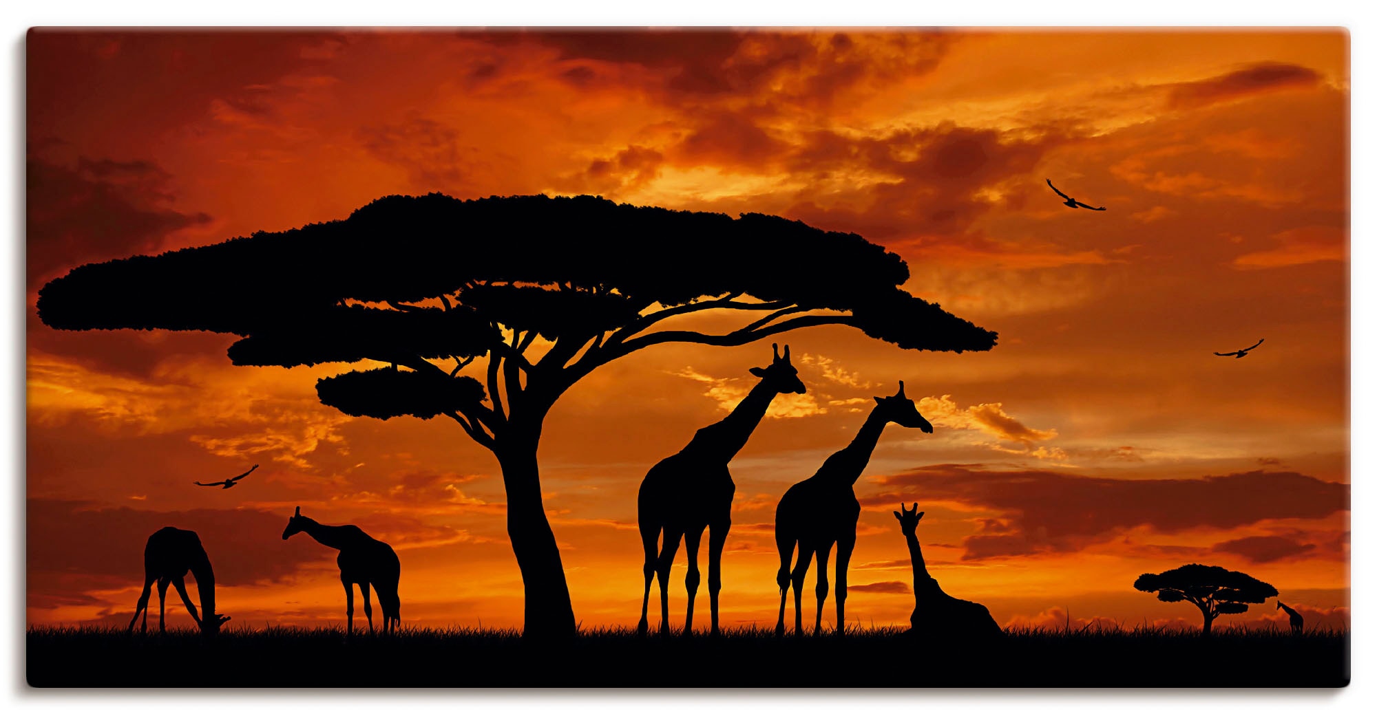 Artland Wandbild "Herde von Giraffen im Sonnenuntergang", Wildtiere, (1 St. günstig online kaufen