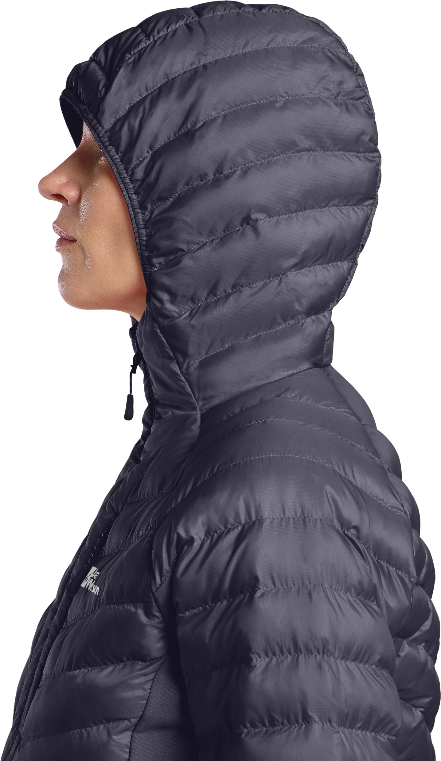 Jack Wolfskin Funktionsjacke »ROUTEBURN PRO INS JKT W«, mit Kapuze
