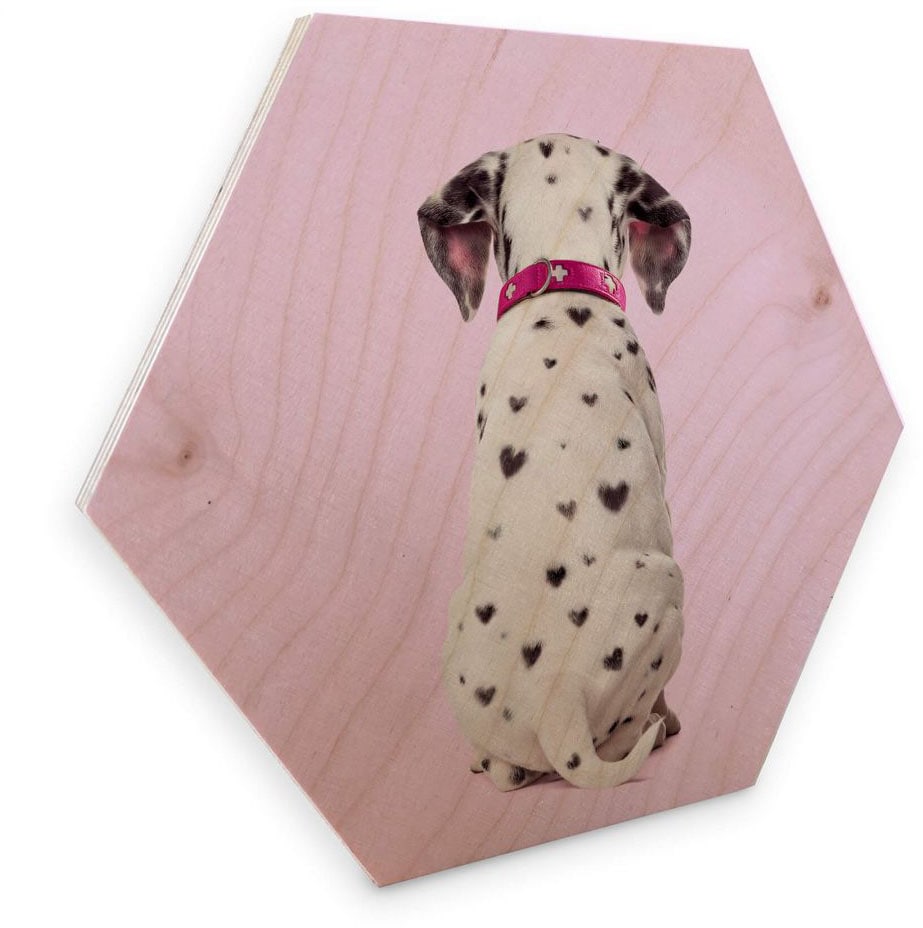 Wall-Art Holzbild »Dalmatiner Holzbild Hunde Bilder«, Tiere, (1 St.), Vintage Holzschild