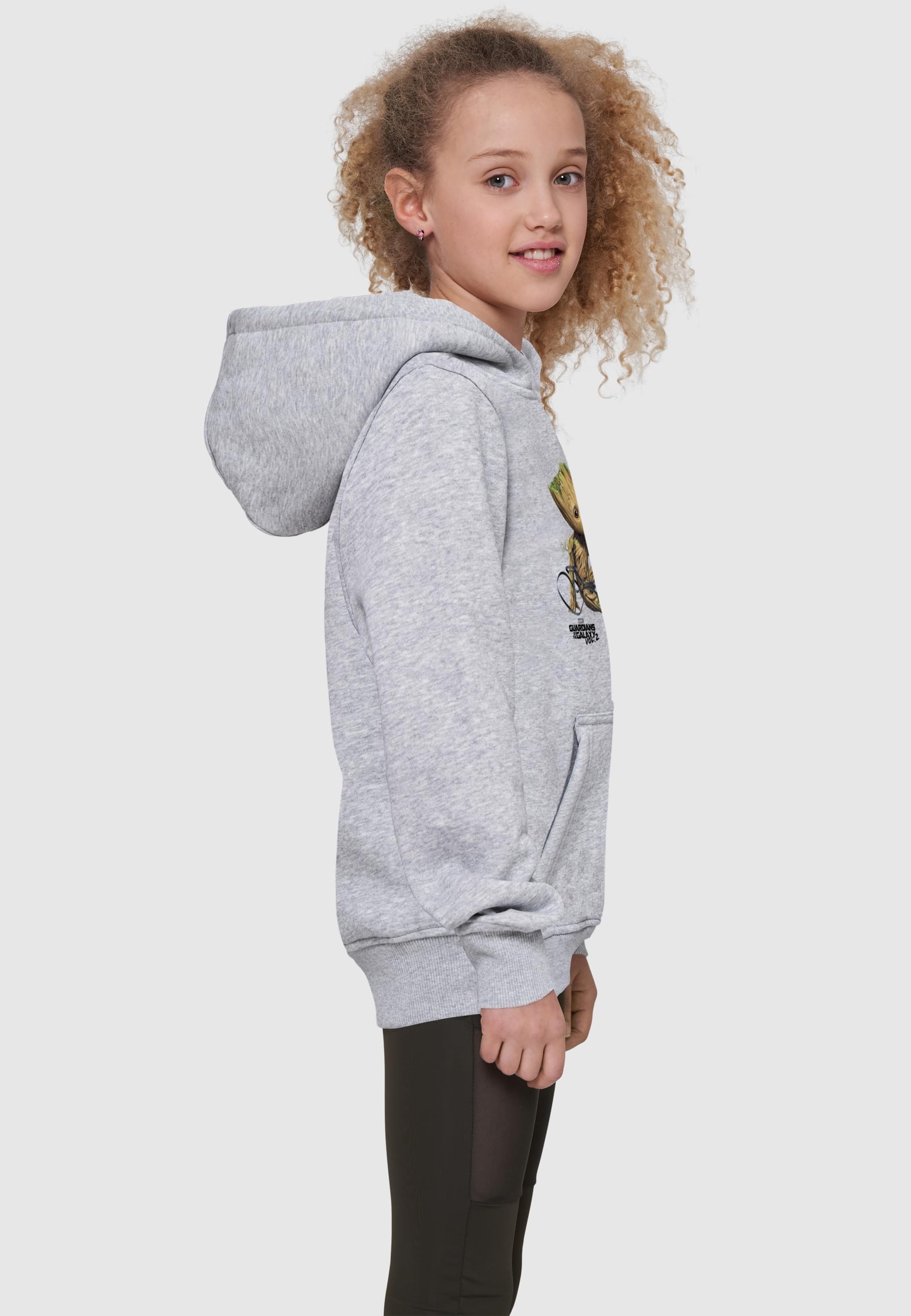 ABSOLUTE CULT Kapuzensweatshirt »ABSOLUTE CULT Herren«, (1 tlg.)