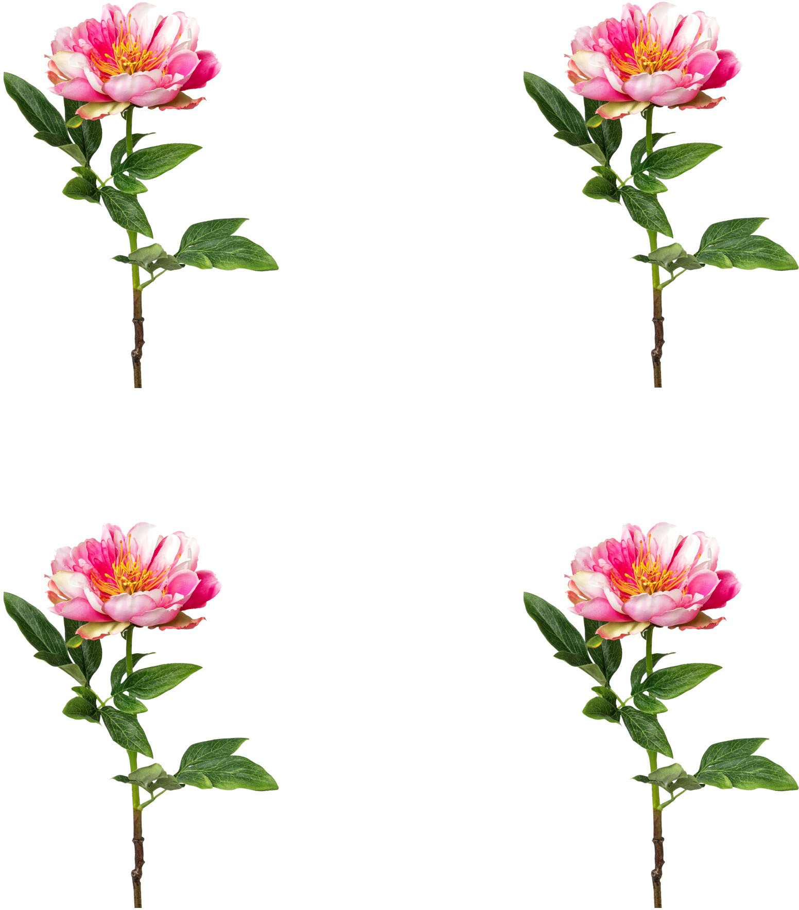 Creativ green Kunstblume »Peonie«, (4 St.) kaufen