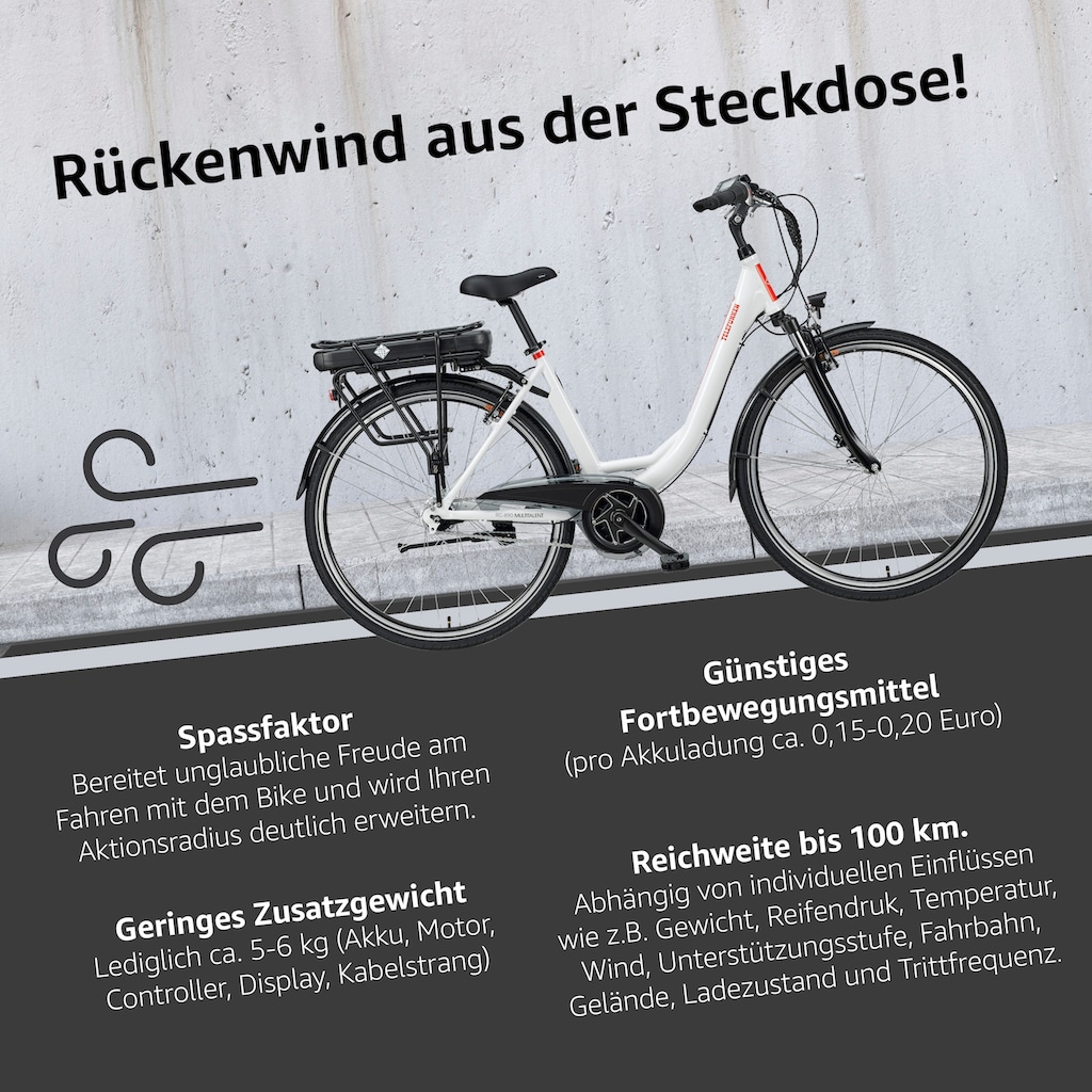 Telefunken E-Bike »Multitalent RC890«, 7 Gang, Shimano, Nexus, Mittelmotor 250 W