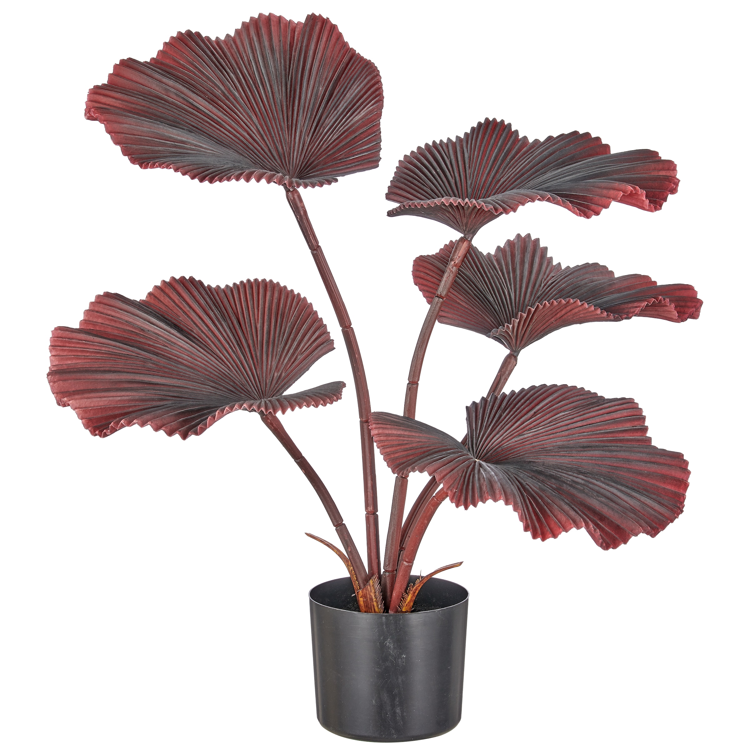 Creativ green Kunstpalme "Strahlenpalme" im modernen Design