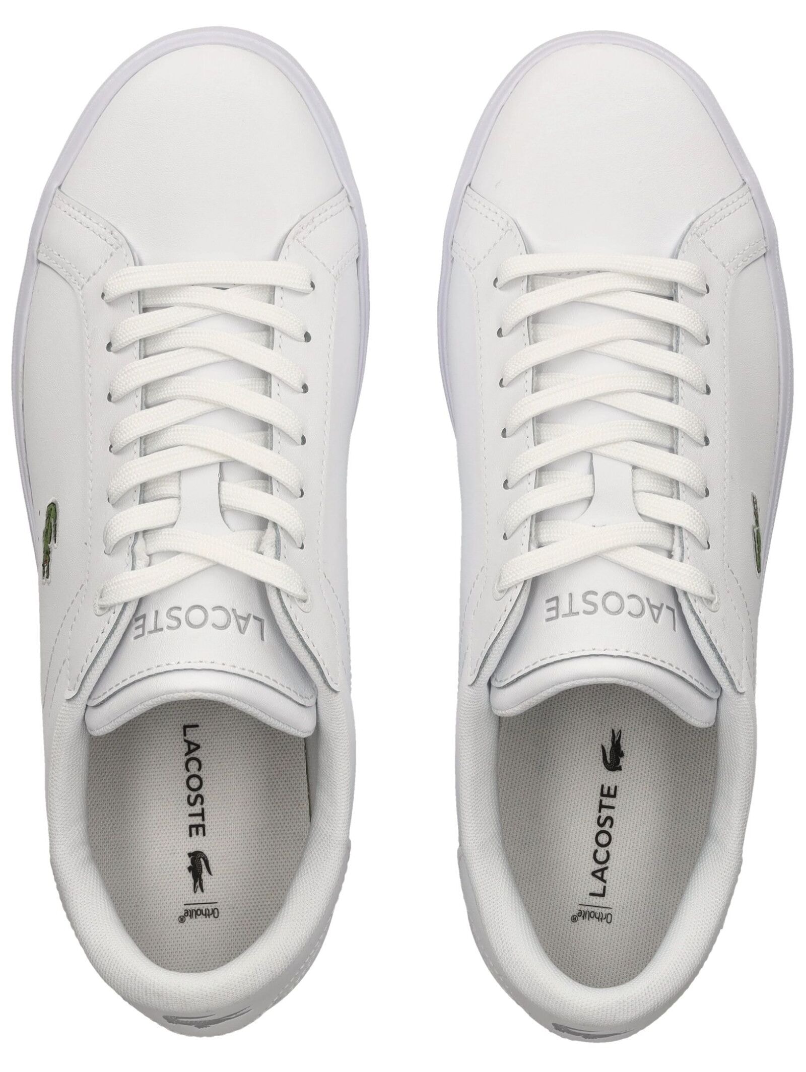 Lacoste Sneaker »lacoste Sneaker Lederimitat«