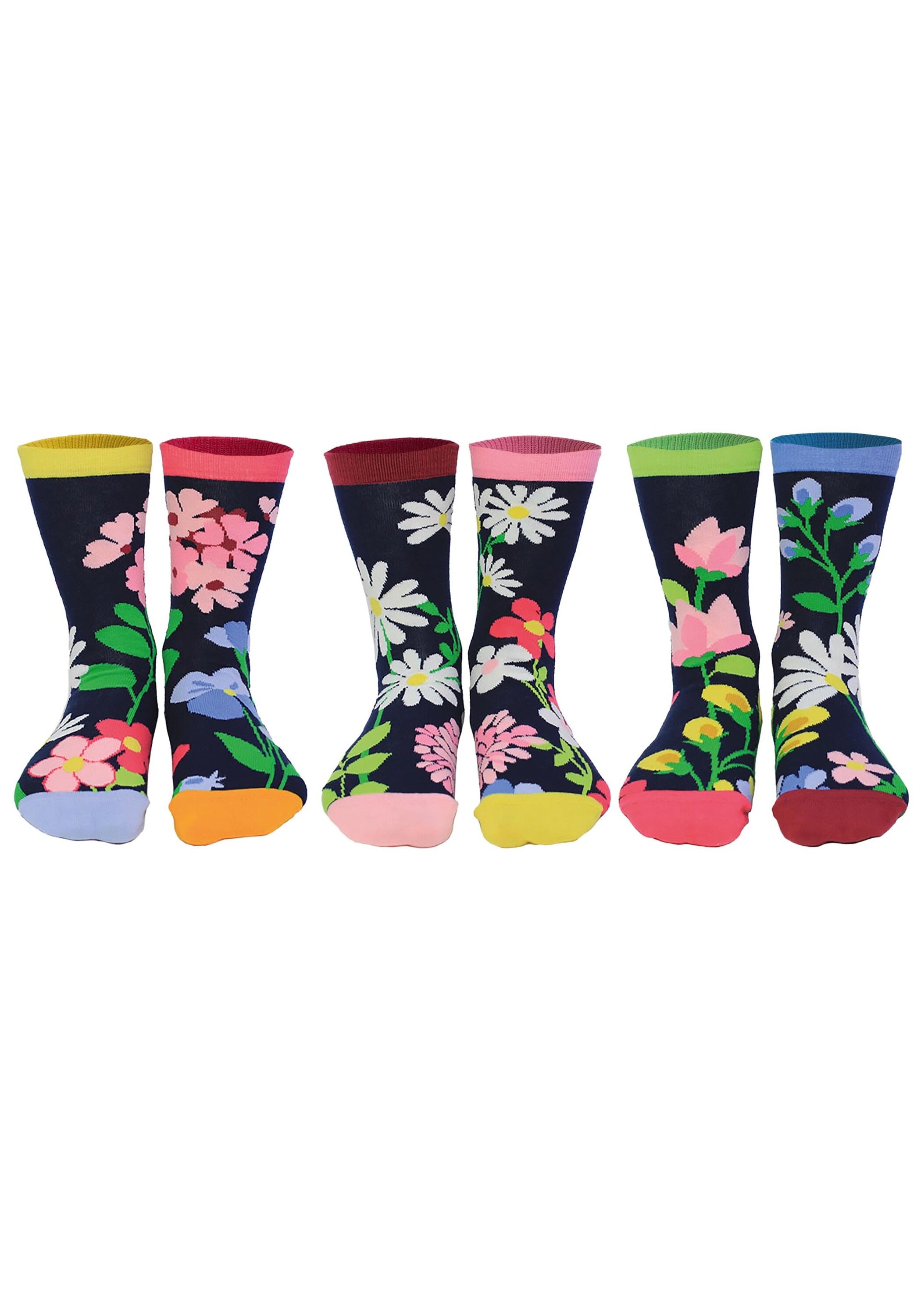 United Oddsocks Kurzsocken "Socken 3er Pack"