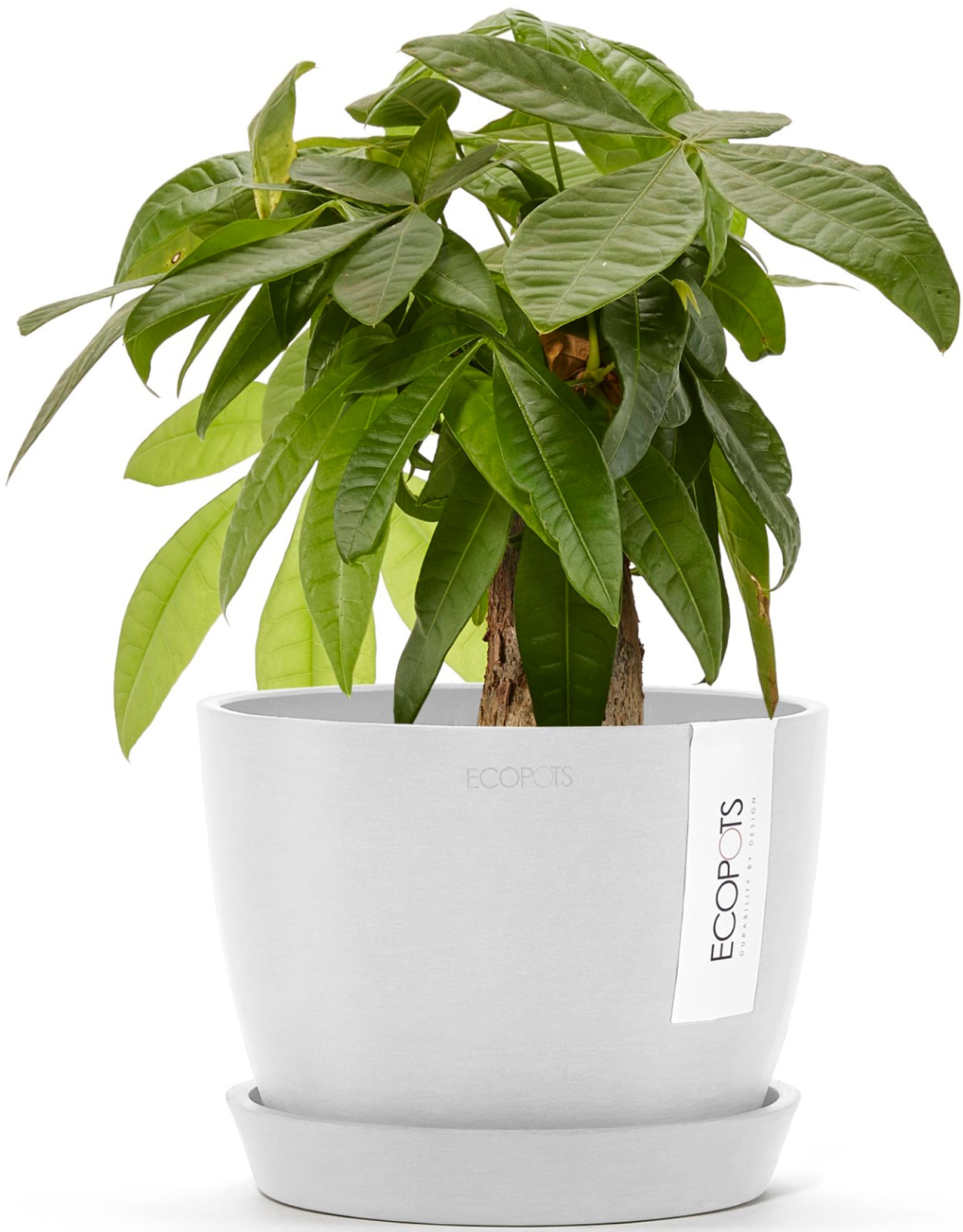 ECOPOTS Blumentopf »Stockholm Mini 16 Weiß«, für innen und außen: frostsicher, bruchsicher und lichtbeständig