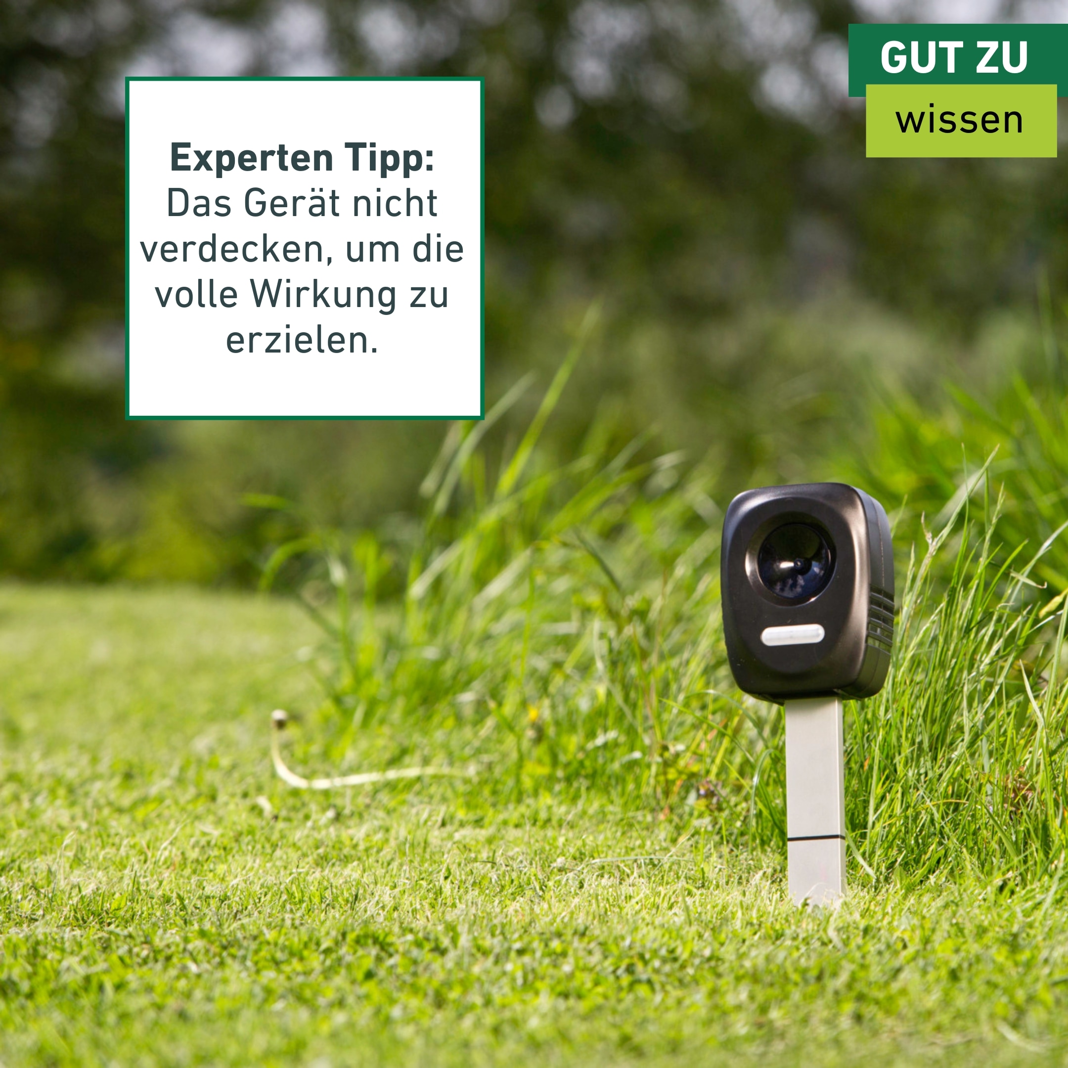 Windhager Ultraschall-Tierabwehr »Gerät Outdoor,  mit Solar oder Batterie« Tiervertreiber gegen Marder, Waschbären, Wirkungsbereich 40 oder 60 m²