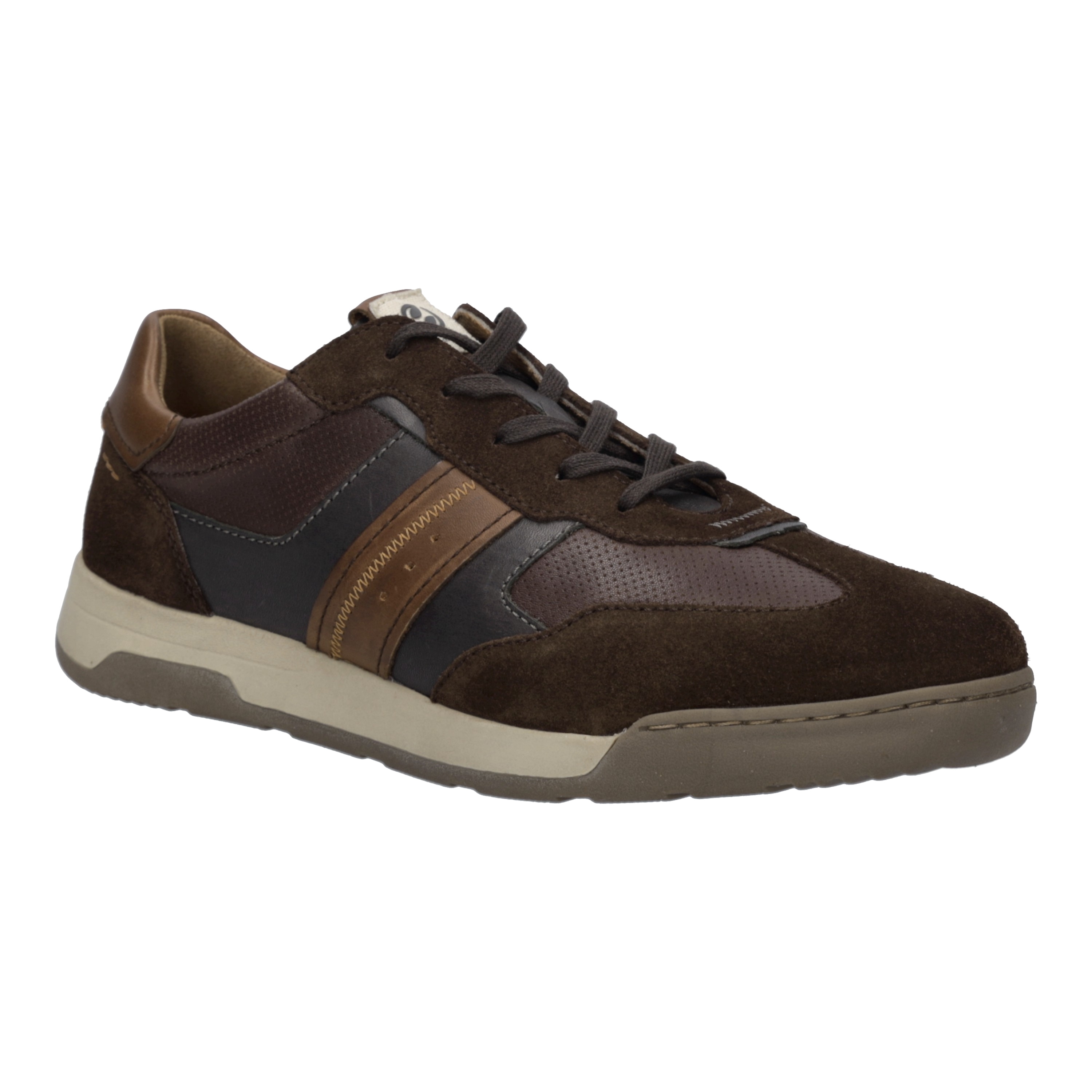Josef Seibel Sneaker "Blake 02, brasil-multi"