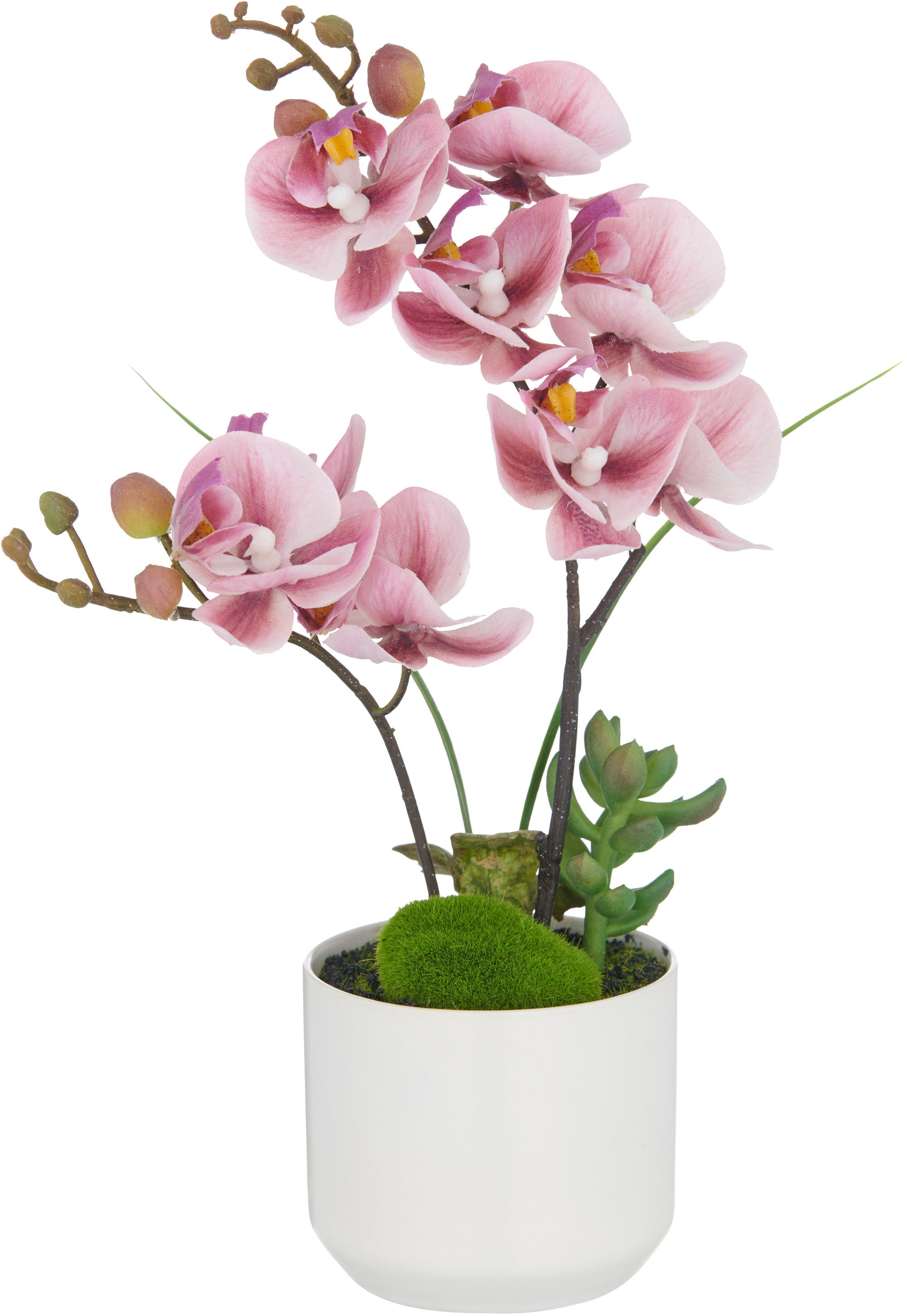 Creativ green Kunstorchidee "Orchidee Phalaenopsis", mit real-touch-Blüten günstig online kaufen