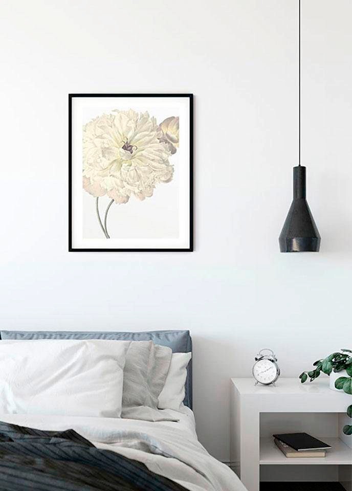 Schlafzimmer, Blumen, BAUR (1 Komar Dahlia«, Kinderzimmer, Wohnzimmer | »Illustration Poster St.),