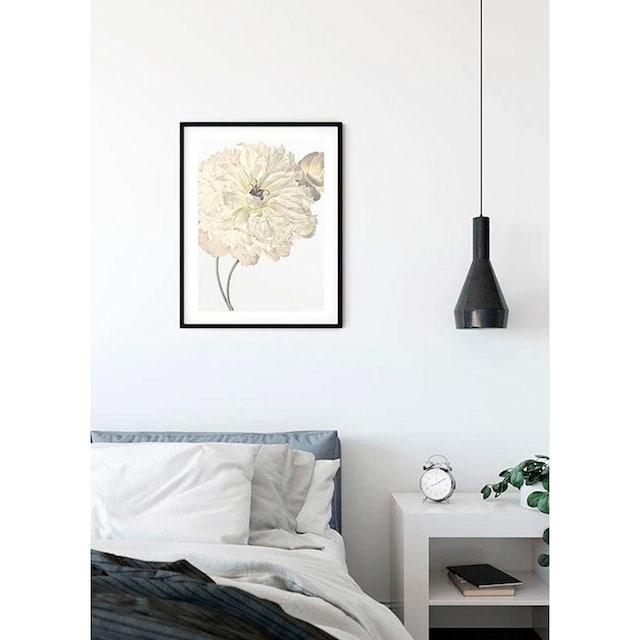 Komar Poster »Illustration Dahlia«, Blumen, (1 St.), Kinderzimmer,  Schlafzimmer, Wohnzimmer | BAUR