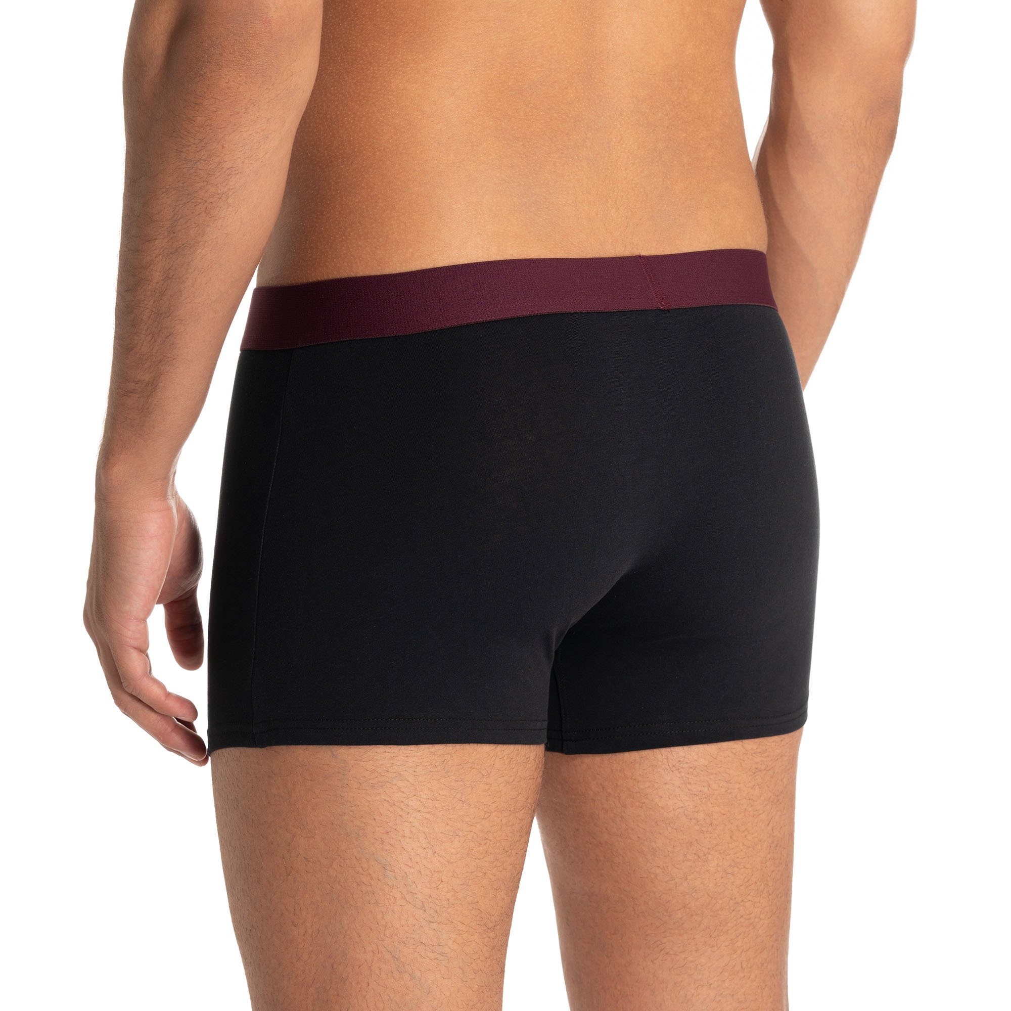 Bruno Banani Boxer »Flowing« mit kontrastreichem Logobund