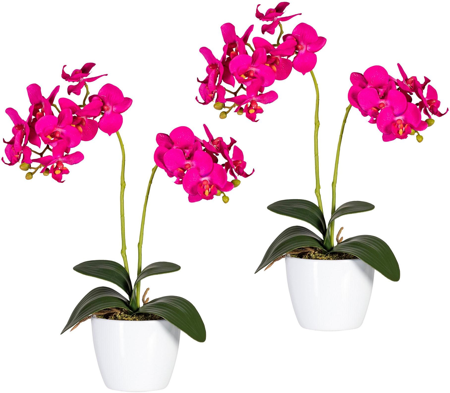 Creativ green Kunstpflanze "Phalaenopsis"