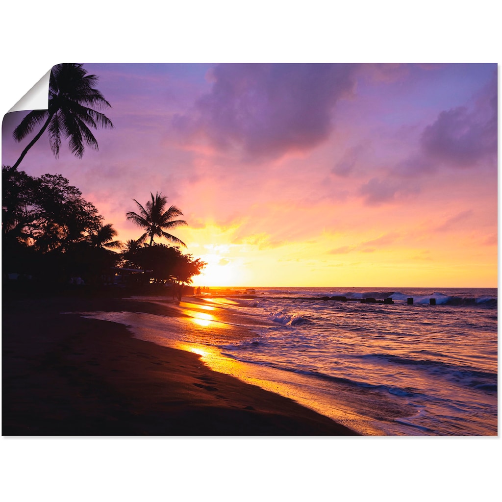 Artland Wandbild »Tropischer Strand«, Sonnenaufgang & -untergang, (1 St.)