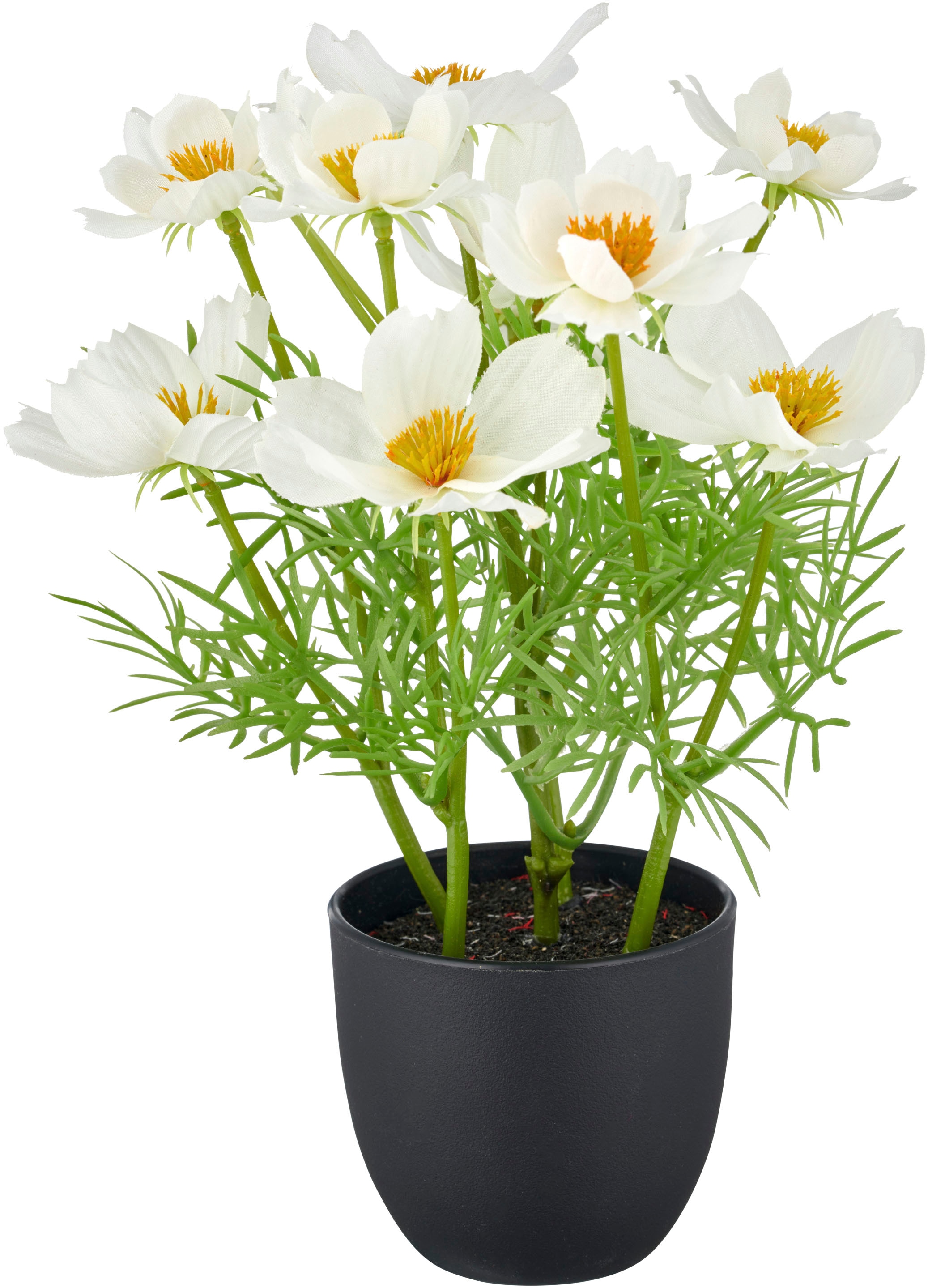 Creativ green Kunstpflanze »Cosmea«, mit farbenfrohen Blüten