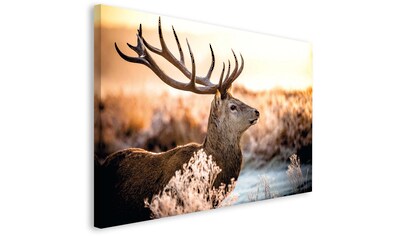 Reinders! Deco-Panel »Hirsch im Wald«, 118/70 cm kaufen