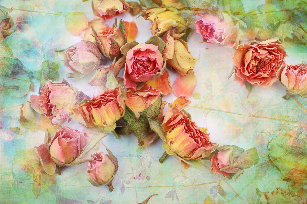 Papermoon Fototapete »Vintage Rosen«