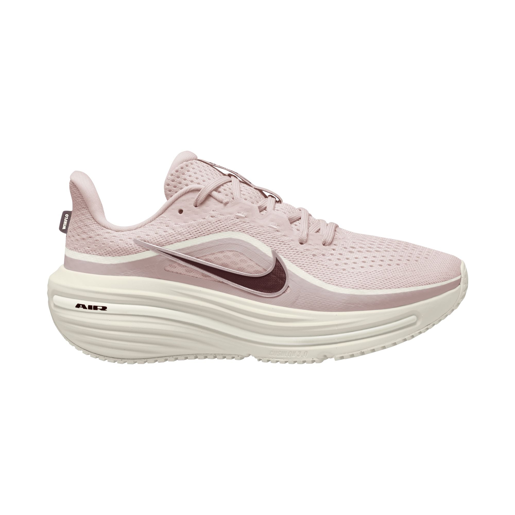 Nike Laufschuh »Winflo 12«