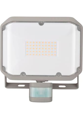 Brennenstuhl LED Außen-Wandleuchte »AL 3050« su PIR...