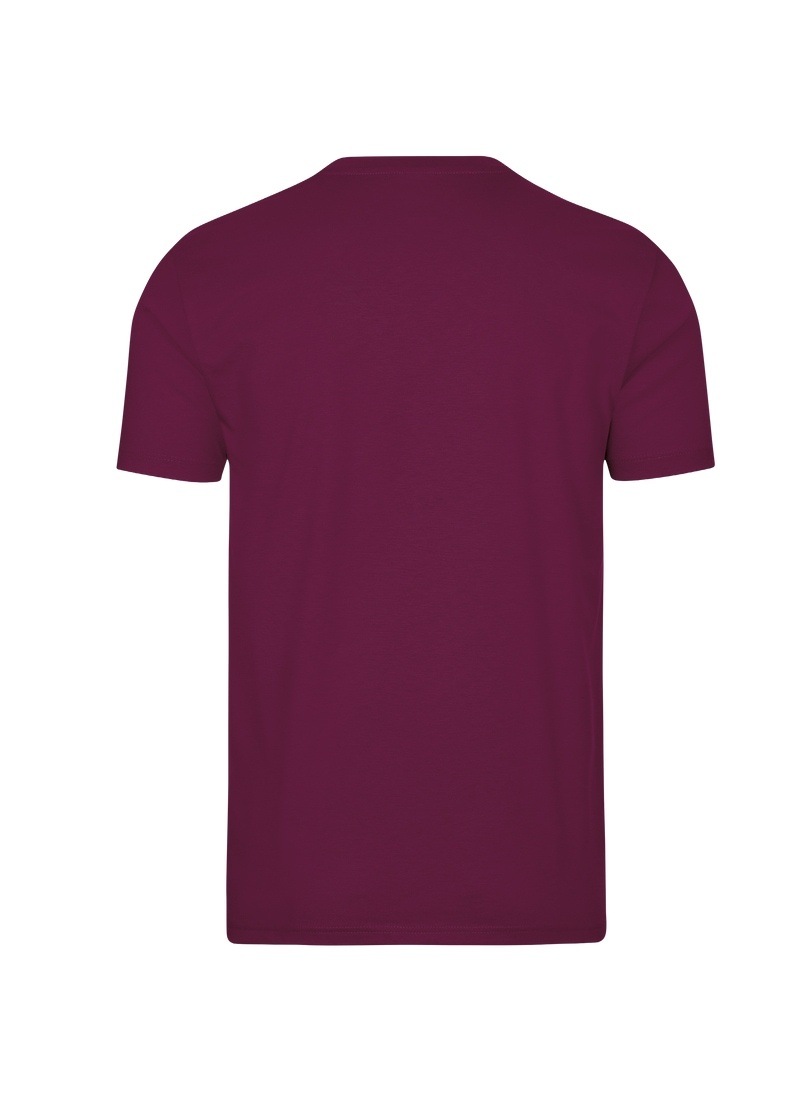 Trigema T-Shirt "TRIGEMA T-Shirt DELUXE Baumwolle" 1 Stk. tlg. günstig online kaufen