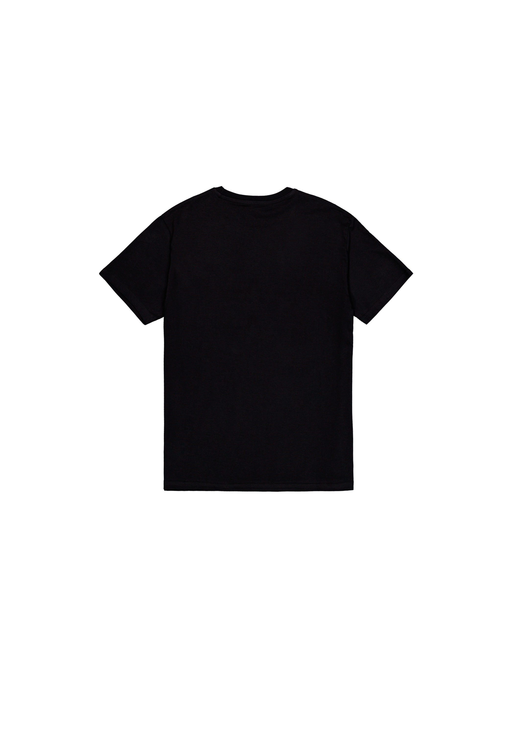 Alpha Industries T-Shirt "Basic T-Shirt BL V-Neck" günstig online kaufen
