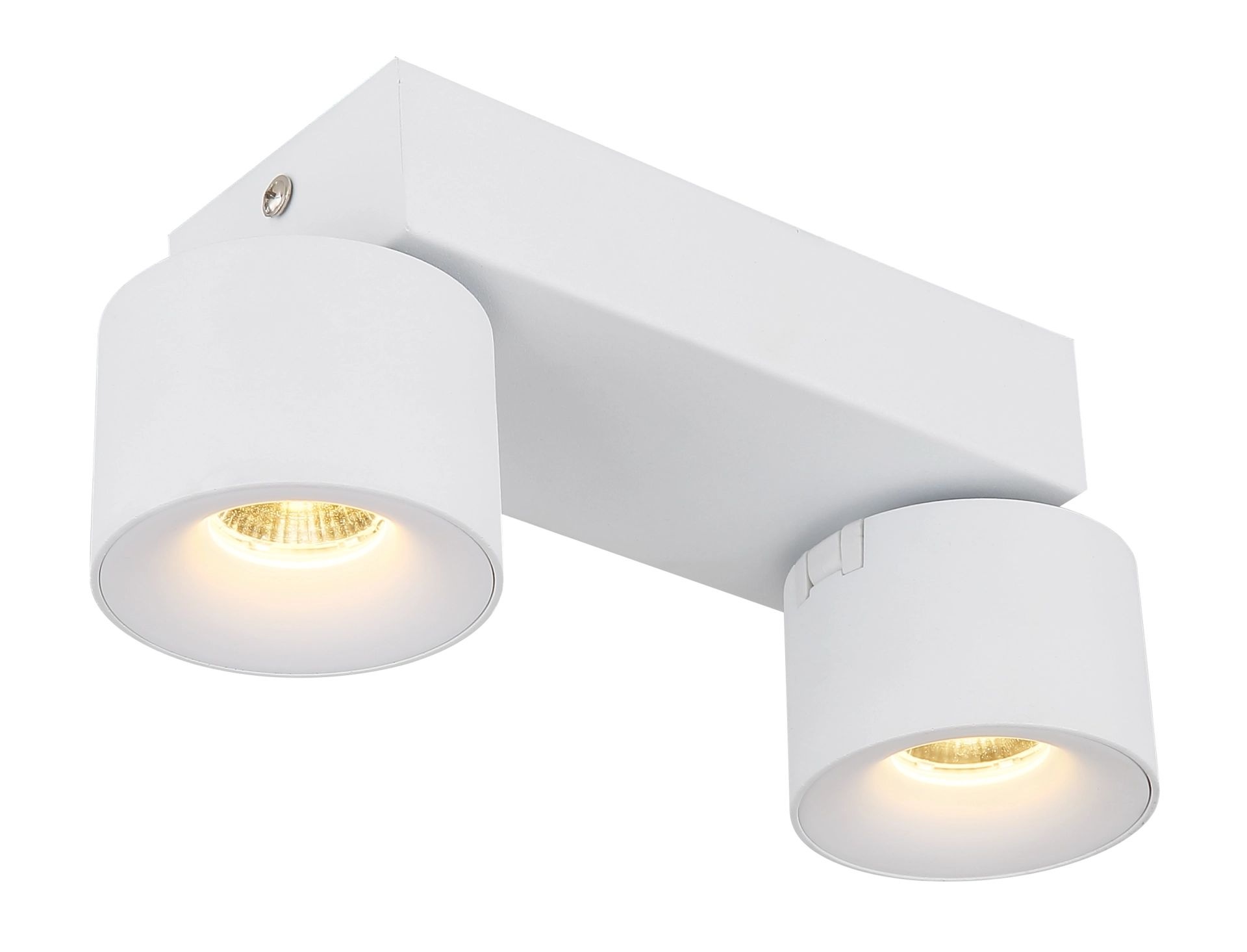 GLOBO LIGHTING LED Deckenstrahler »RAE«, 2 flammig, Leuchtmittel LED-Modul | LED fest integriert, Deckenspot, Wohnraum, Flur, Arbeitszimmer