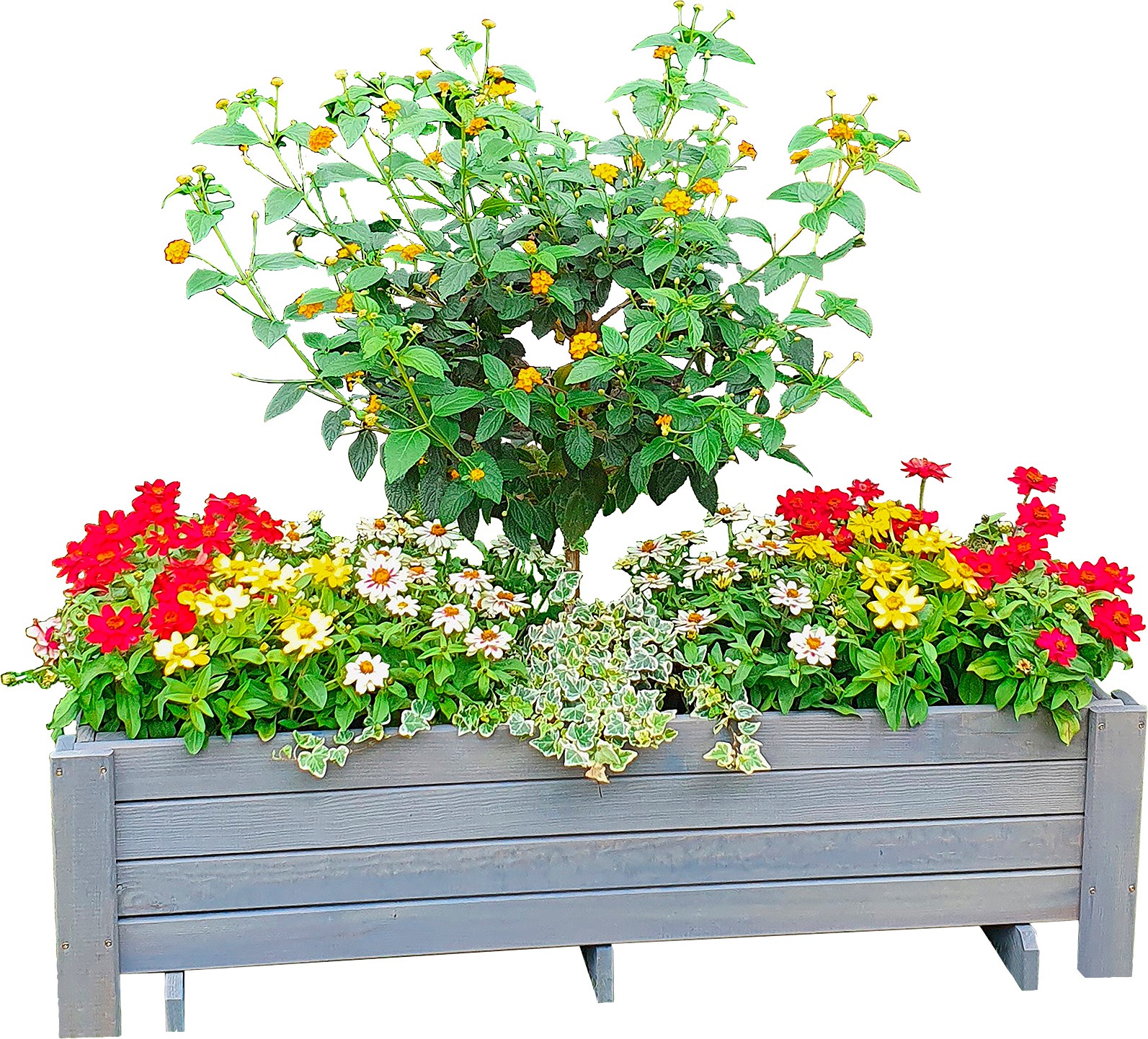 promadino Balkonkasten "Romantica" BxTxH: 78x38x34 cm günstig online kaufen
