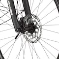 FISCHER Fahrrad E-Bike »VIATOR ETD 2222 422«, 24 Gang, Shimano, Altus, (mit Akku-Ladegerät-mit Werkzeug)