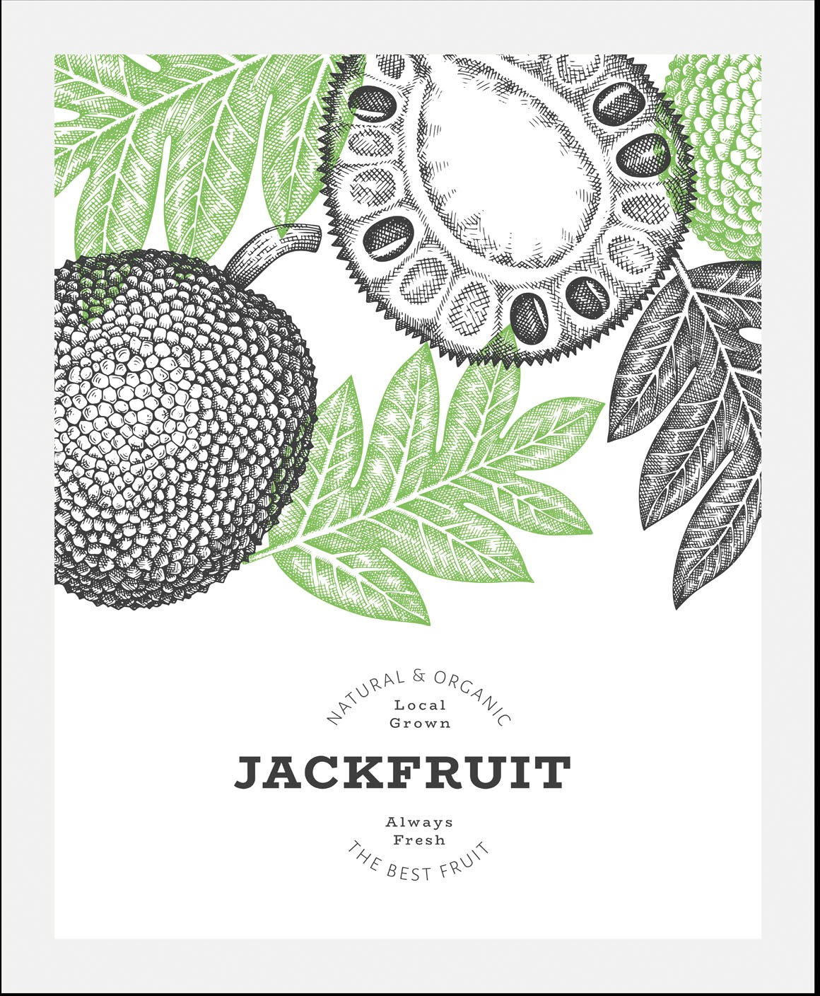 queence Bild "Jackfruit", (1 St.), gerahmt günstig online kaufen