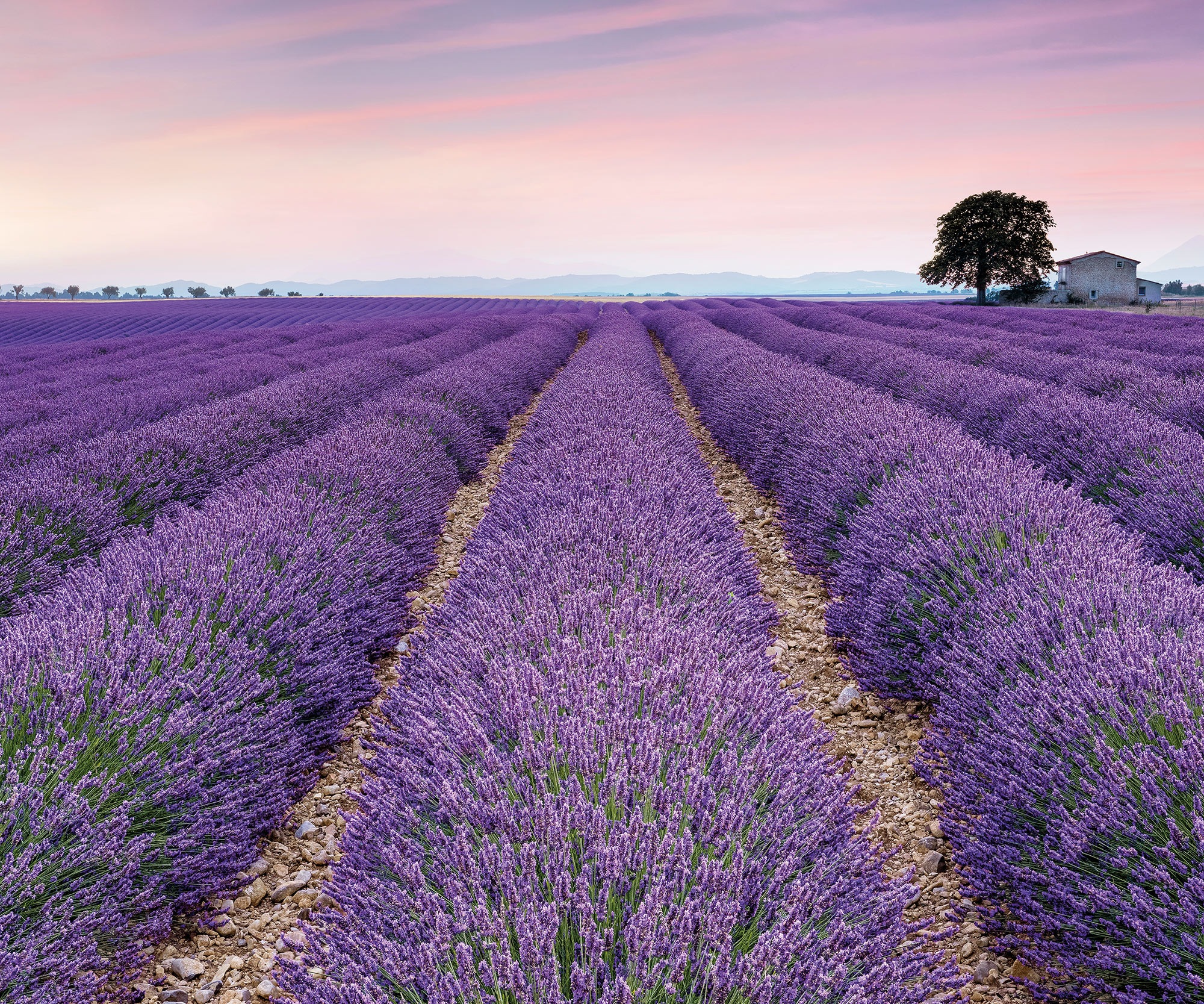 Fototapete »Fototapete«, bedruckt, Vlies Fototapete - Provence - Größe 300 x 250 cm