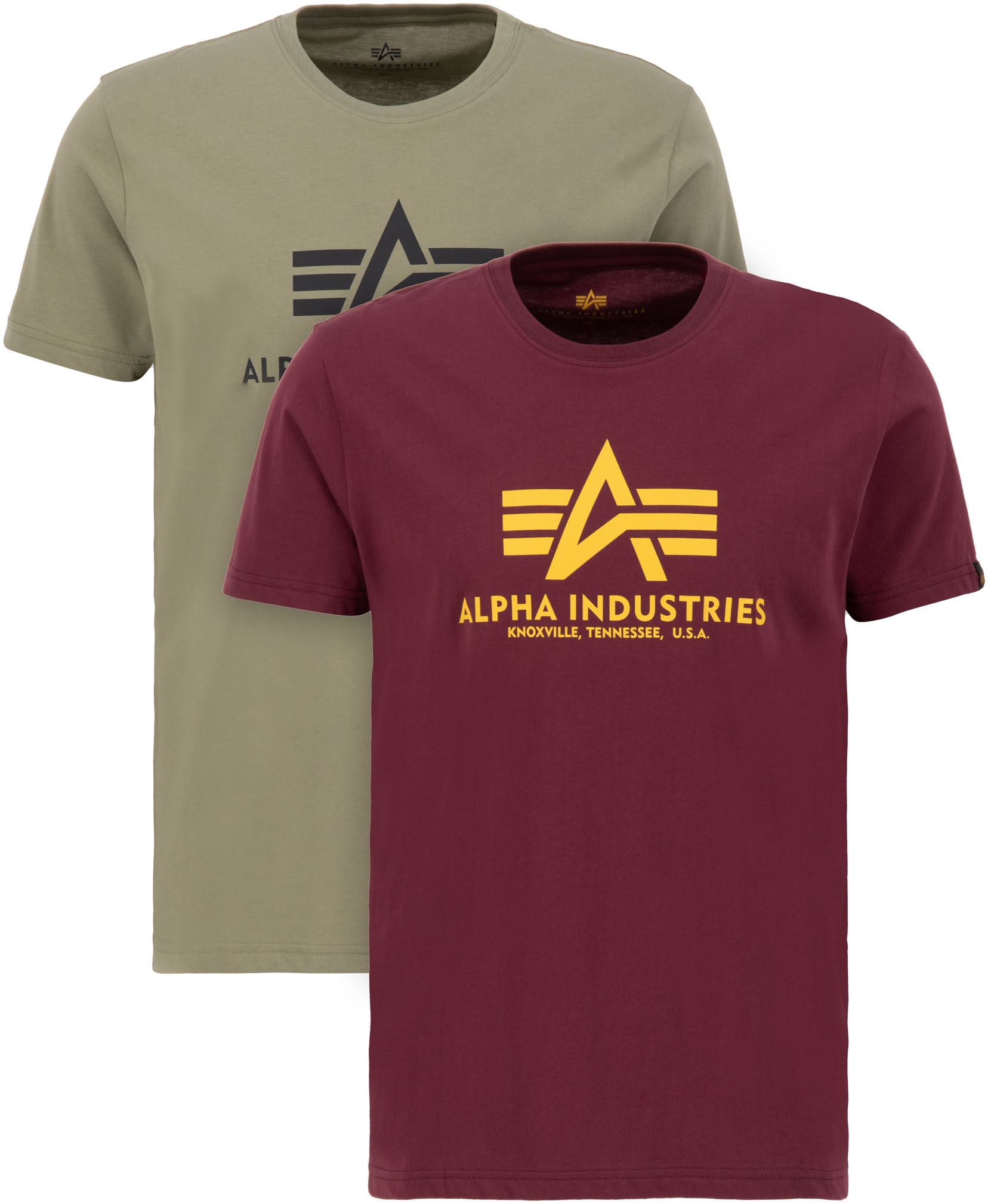 Alpha Industries Rundhalsshirt »Basic T 2 Pack«