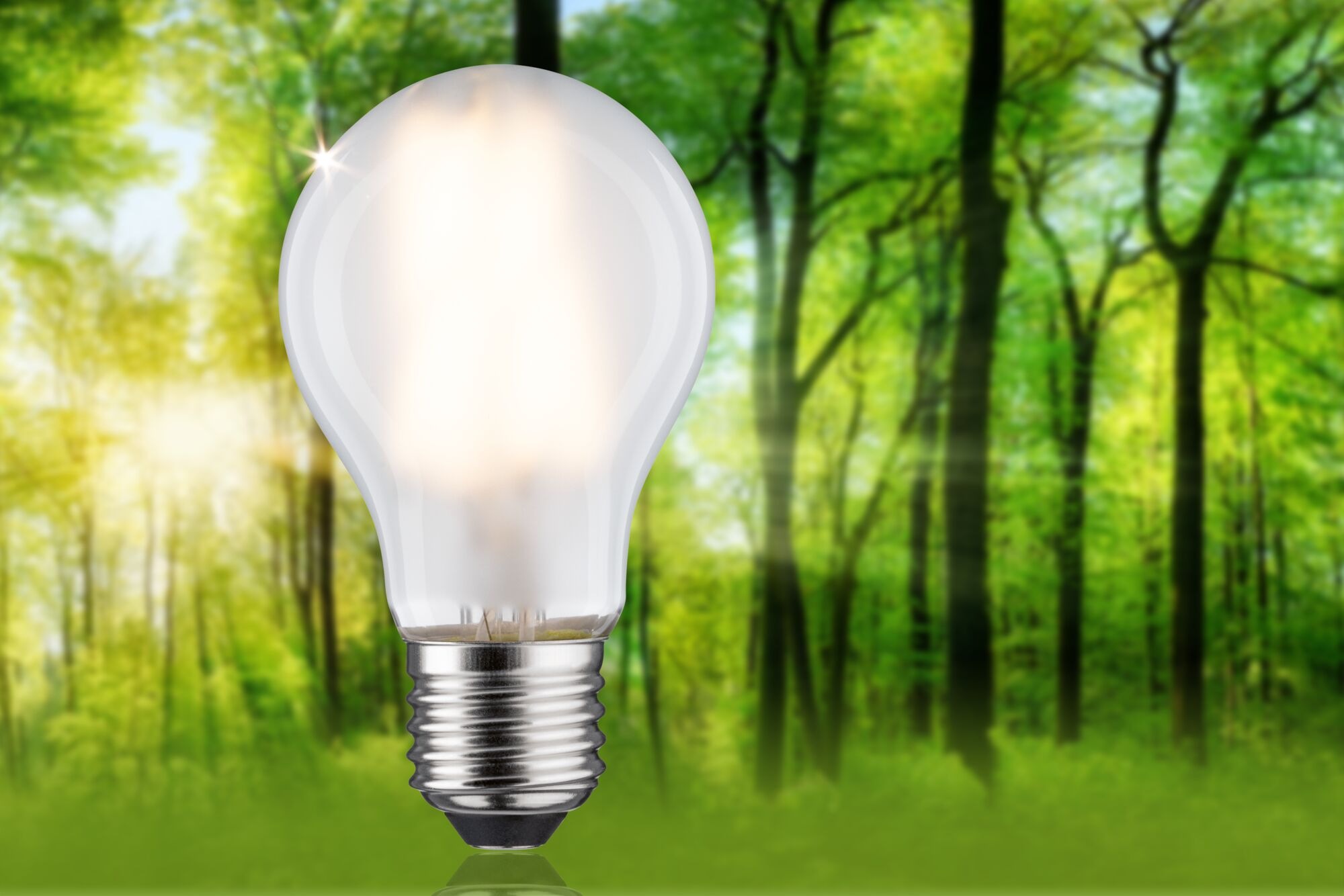 Paulmann LED-Leuchtmittel »Eco-Line Filament 230V LED Birne E27 1er-Set 840lm 4W 3000K Matt«, E27, 1 St., Warmweiß