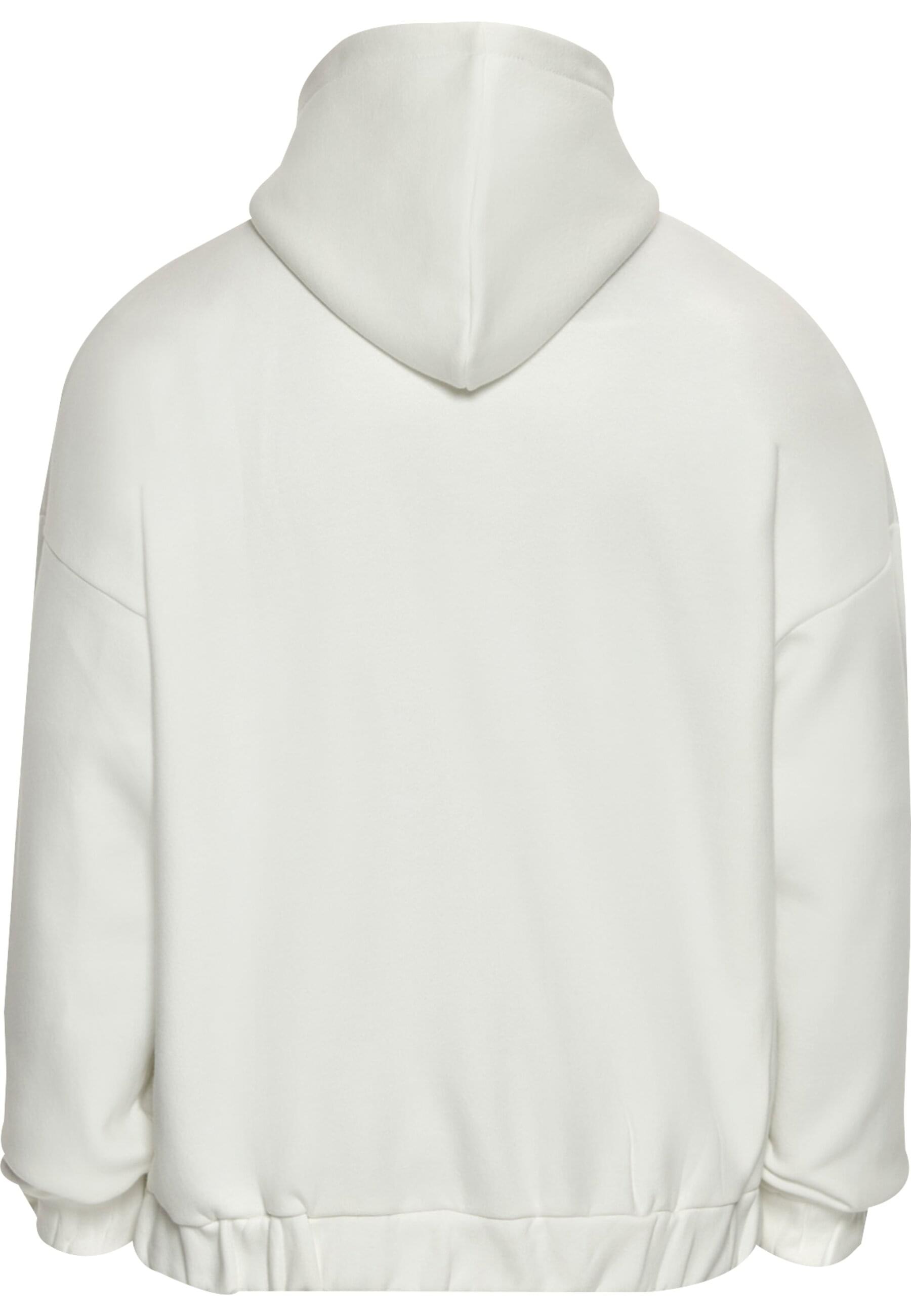 Dropsize Sweatjacke "Dropsize SUPER HEAVY OVERSIZE BLANK ZIPPER" günstig online kaufen